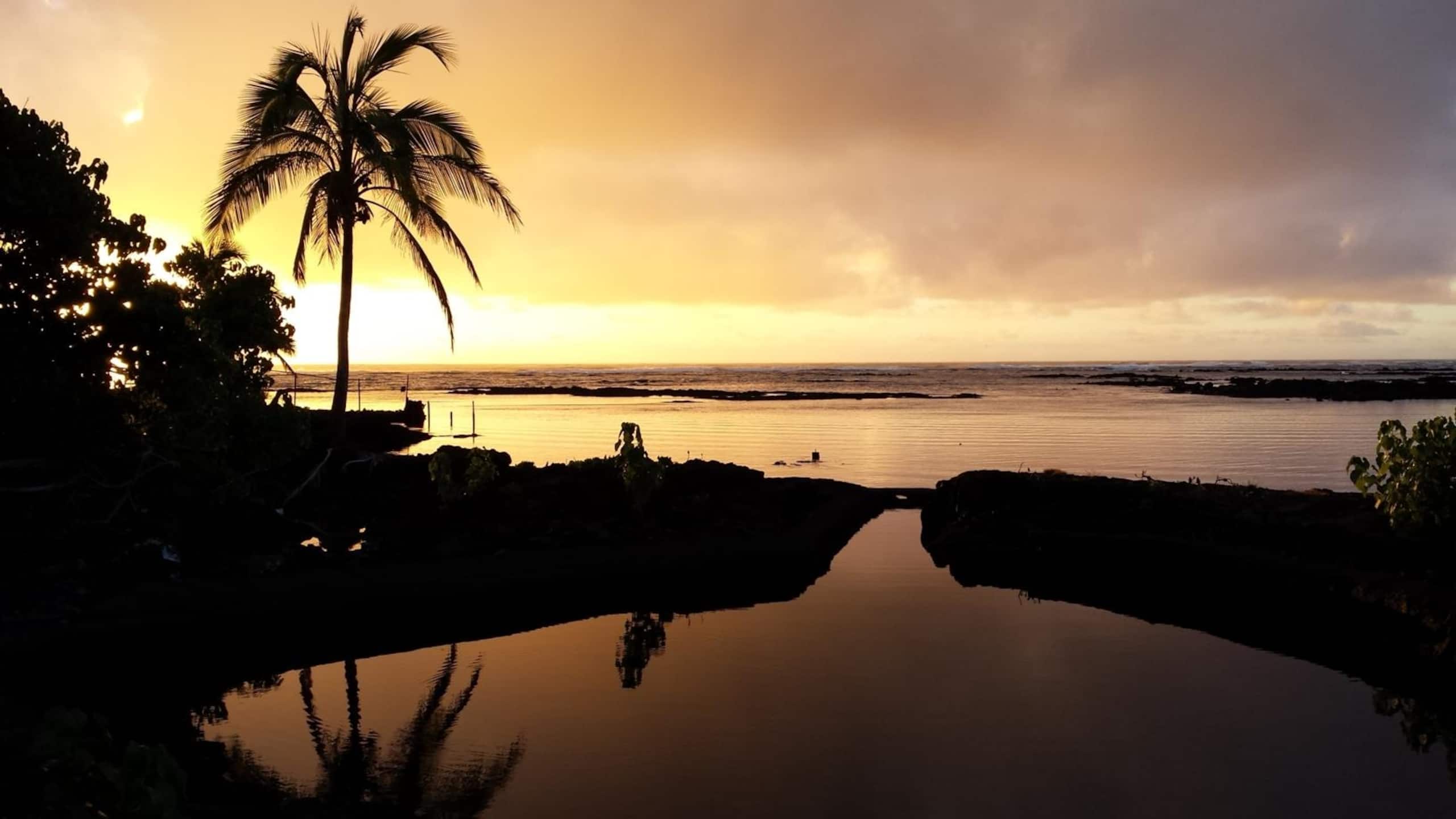 Condo in Hilo · ★4.24 · 2 bedrooms · 3 beds · 1 bath - Image 38