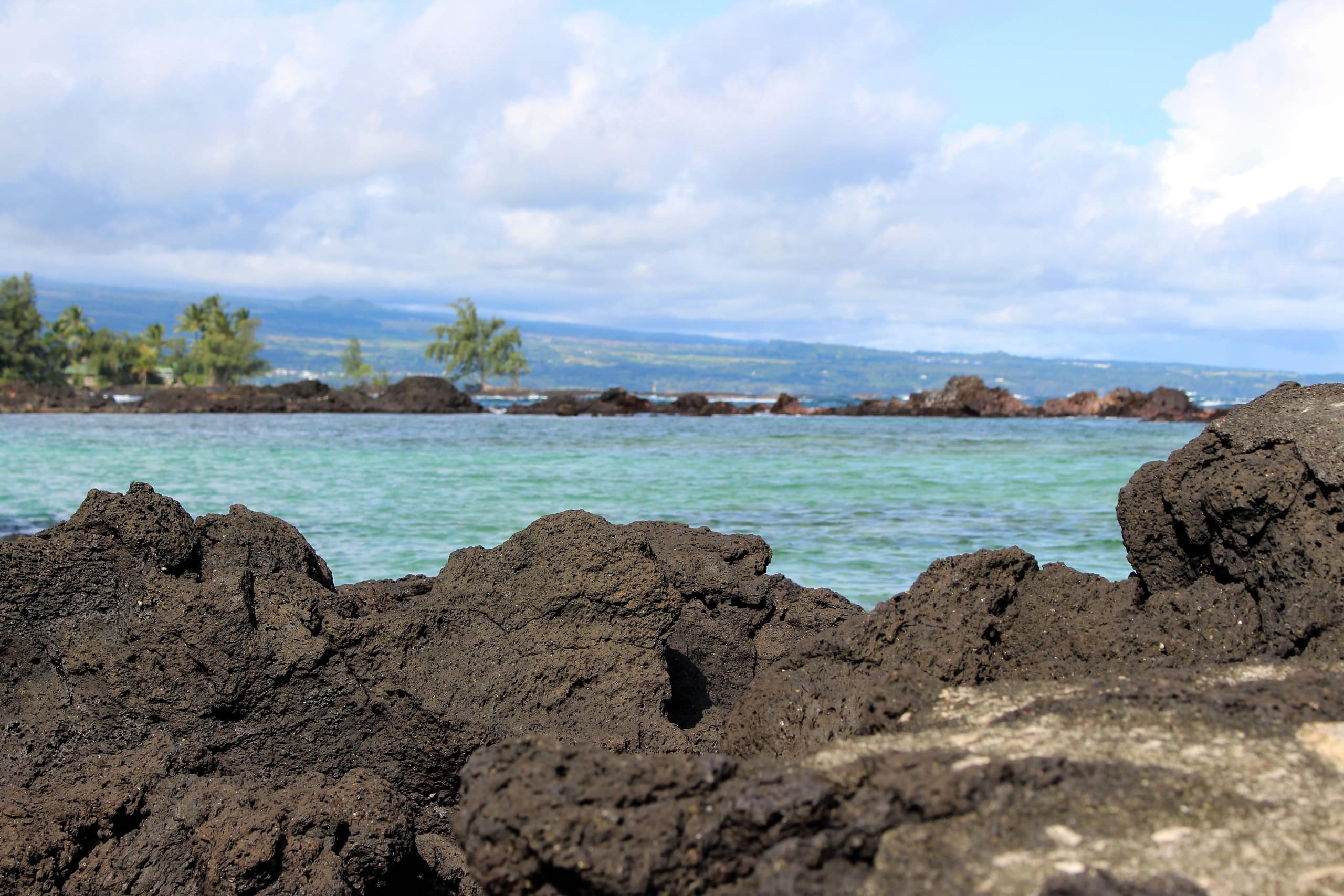 Condo in Hilo · ★4.24 · 2 bedrooms · 3 beds · 1 bath - Image 30