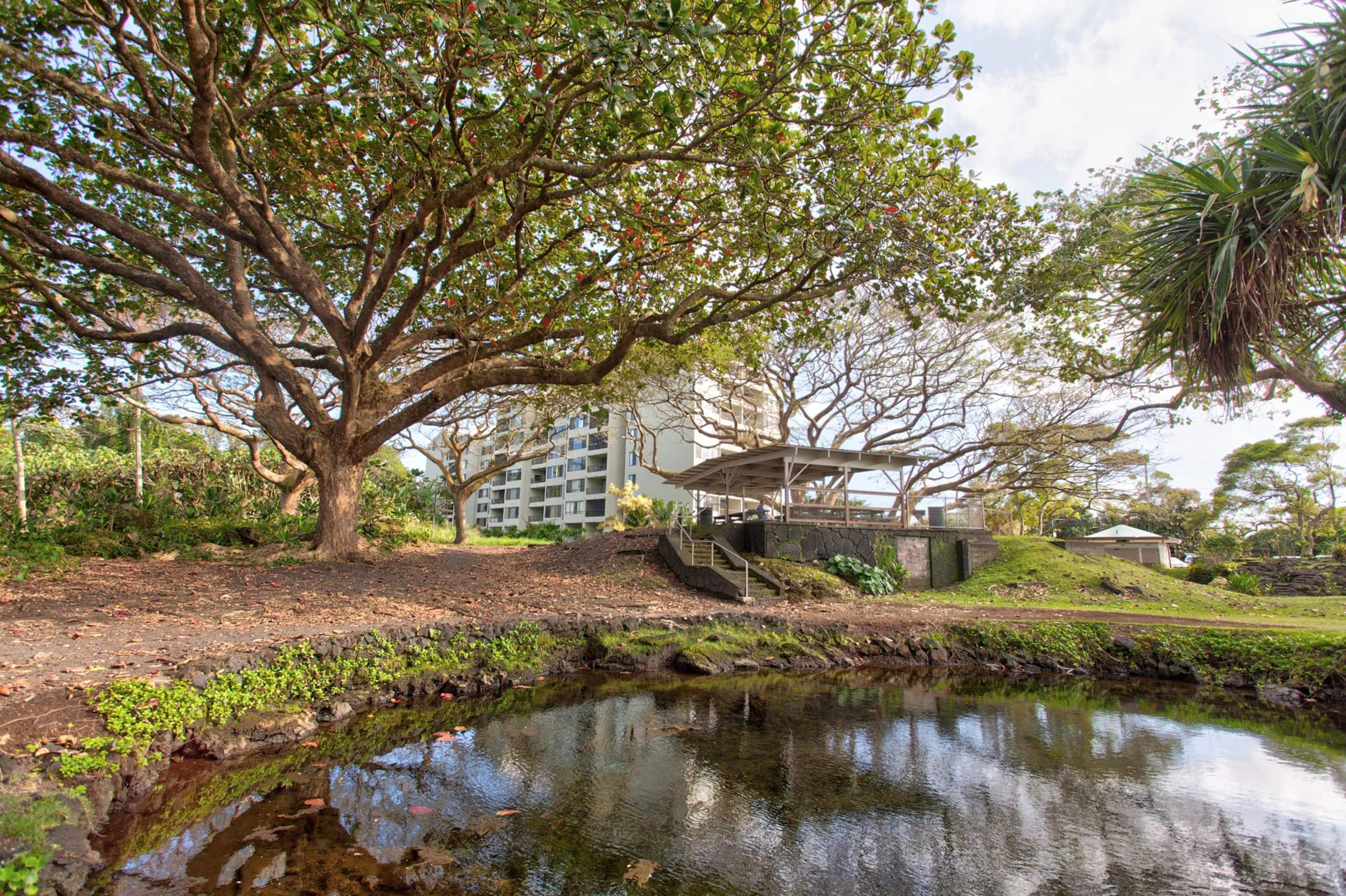 Condo in Hilo · ★4.24 · 2 bedrooms · 3 beds · 1 bath - Image 28