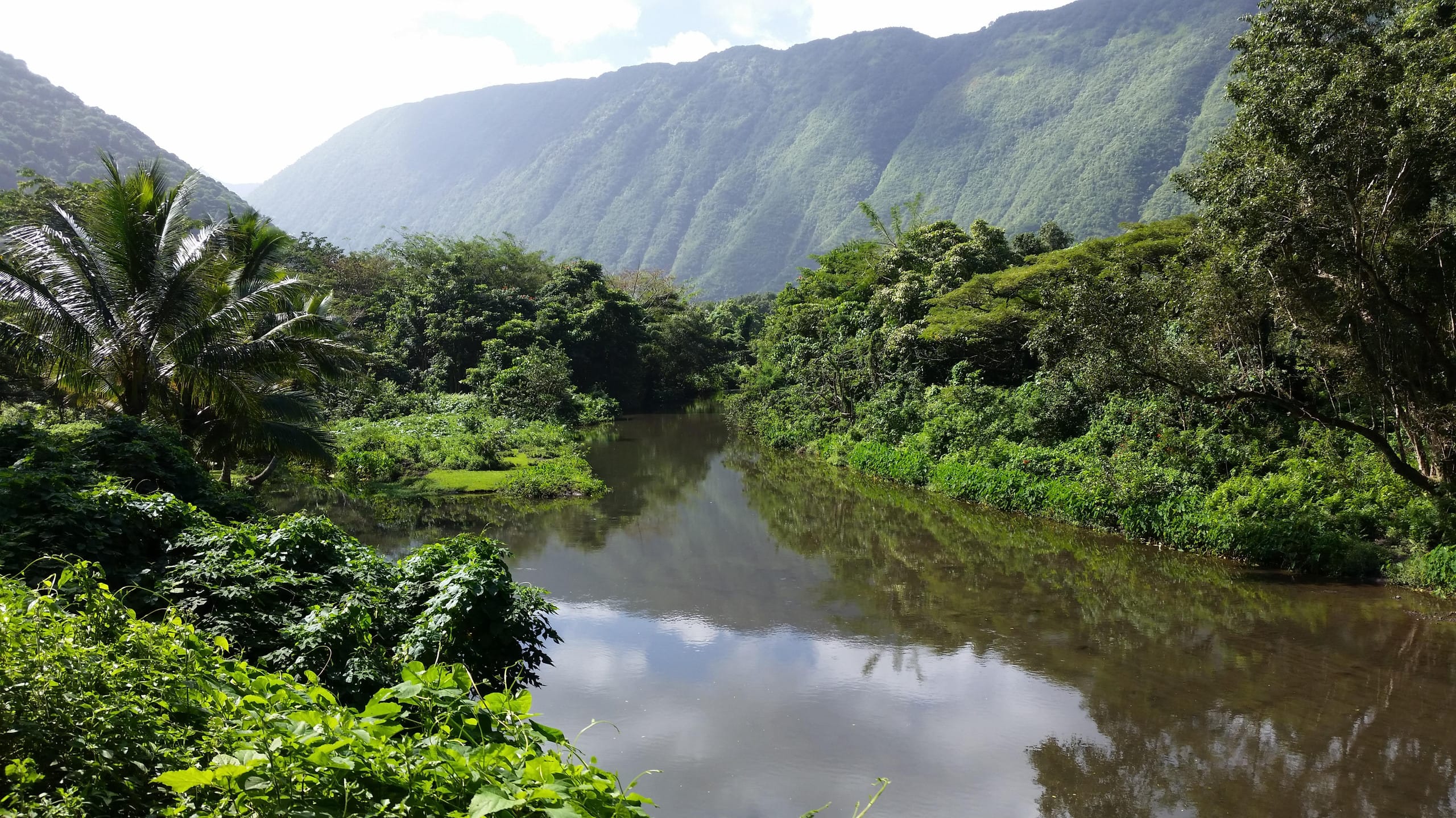 Condo in Hilo · ★4.24 · 2 bedrooms · 3 beds · 1 bath - Image 47