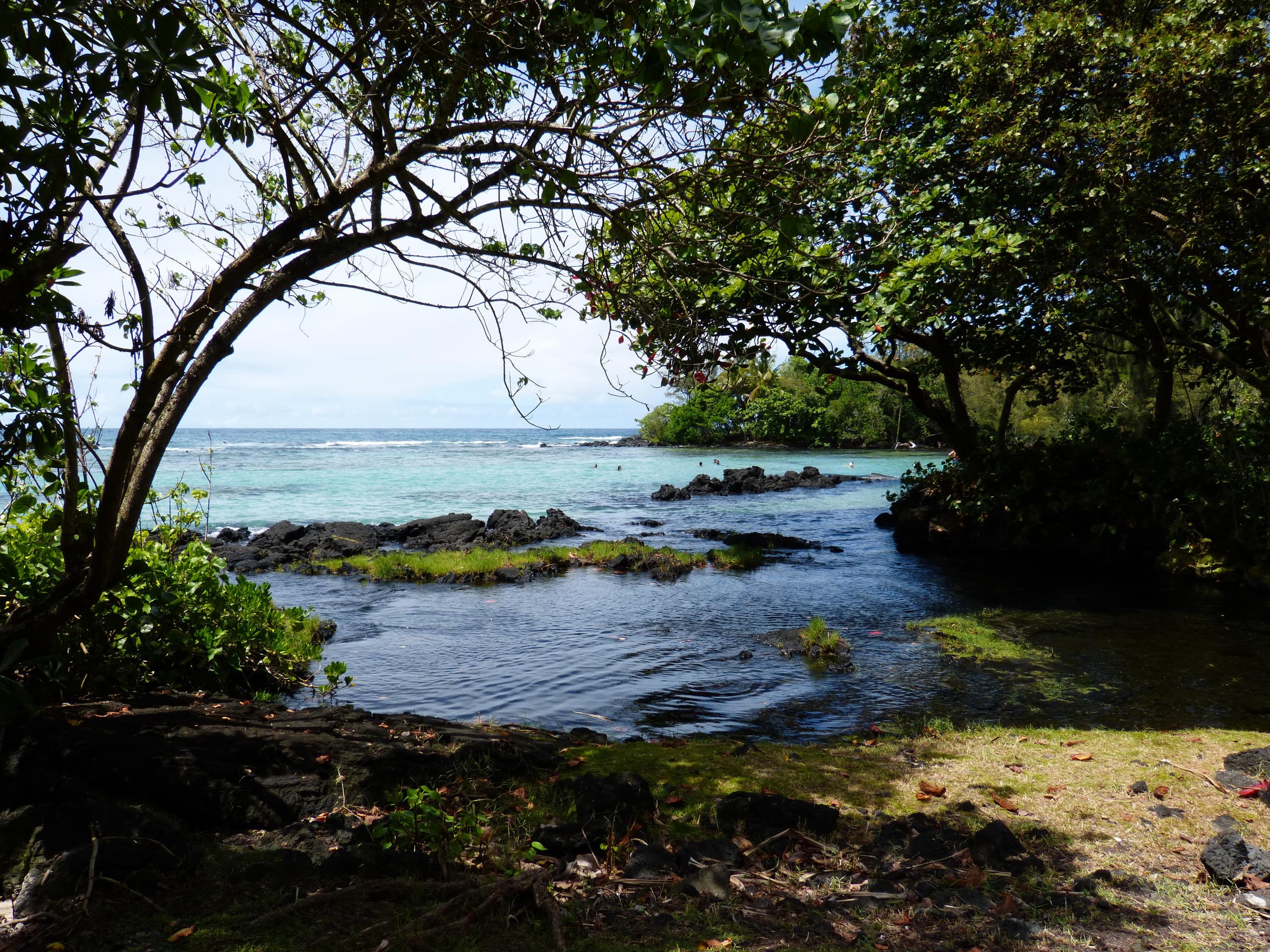 Condo in Hilo · ★4.24 · 2 bedrooms · 3 beds · 1 bath - Image 34