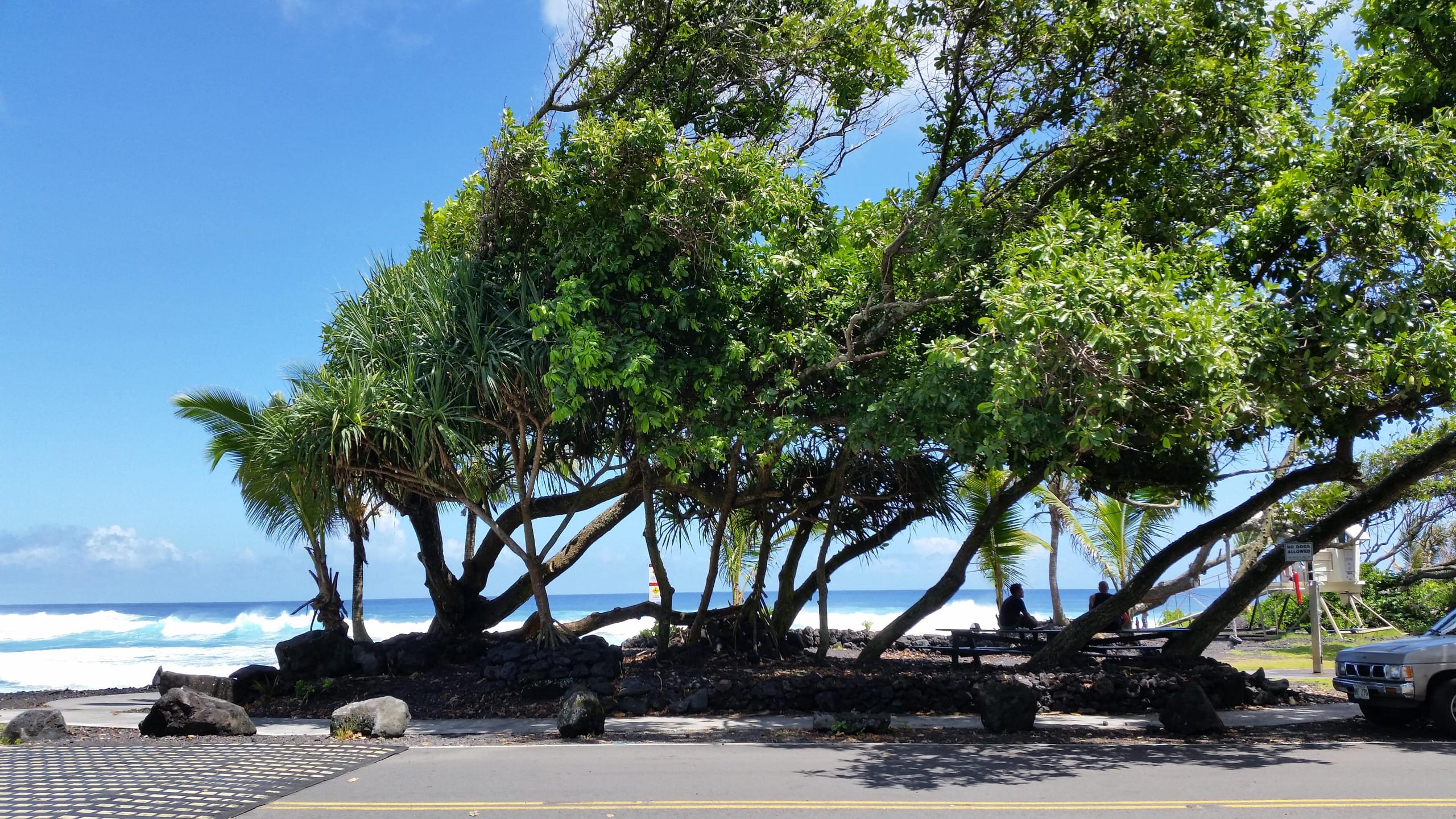 Condo in Hilo · ★4.24 · 2 bedrooms · 3 beds · 1 bath - Image 46