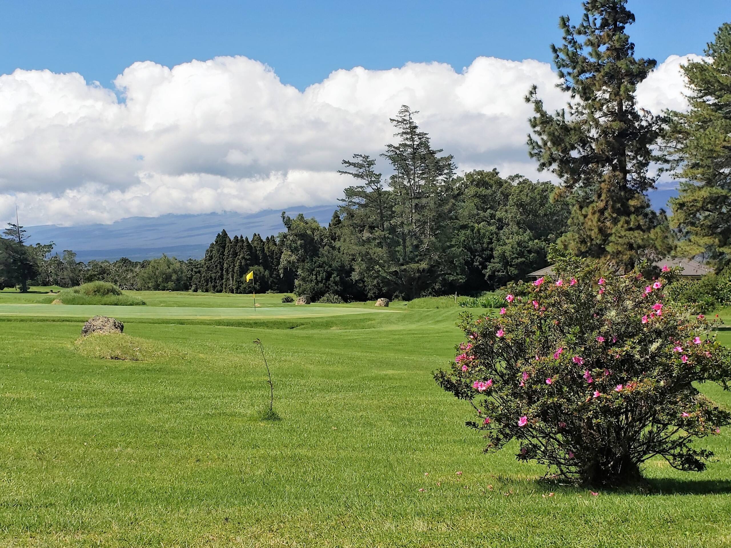 Home in Mountain View · ★4.89 · 3 bedrooms · 3 beds · 2 shared baths - Image 13