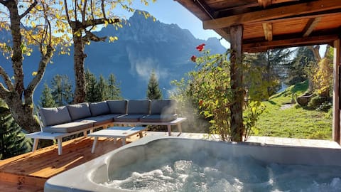 Paradise View - 5 BR Gstaad Paradise View Chalet w