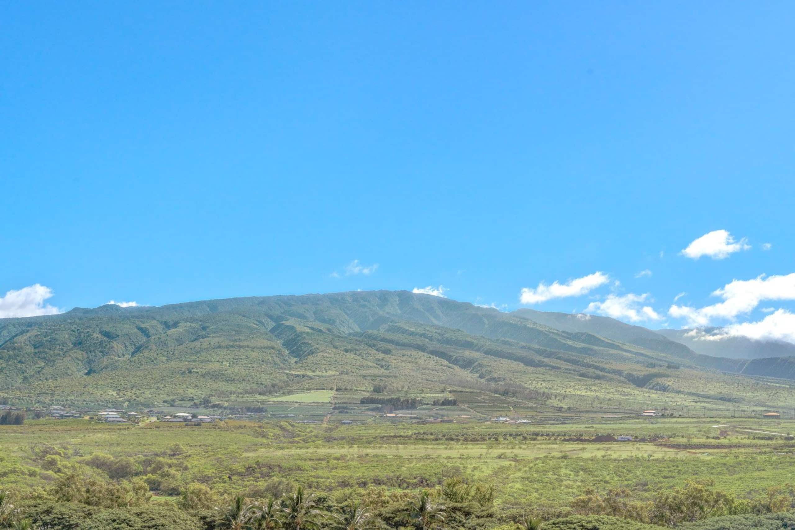 Condo in Lahaina · ★5.0 · 1 bedroom · 2 beds · 1 bath - Image 14