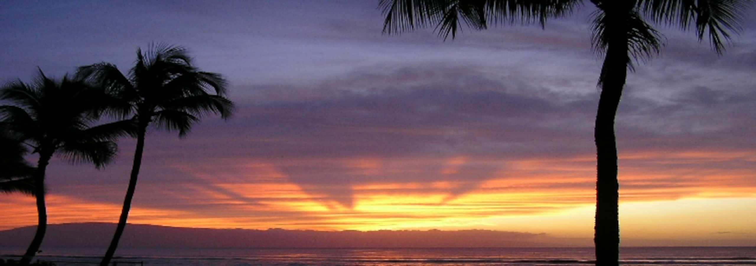 Condo in Lahaina · ★4.91 · 2 bedrooms · 3 beds · 1 bath - Image 38