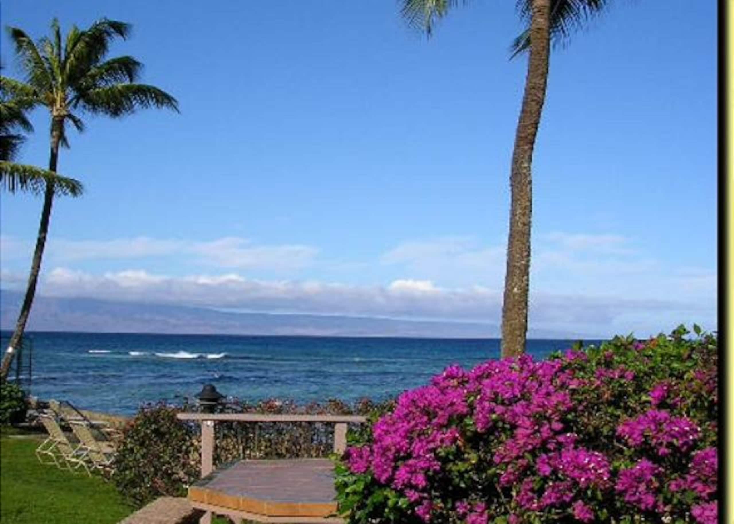 Condo in Lahaina · ★4.91 · 2 bedrooms · 3 beds · 1 bath - Image 24