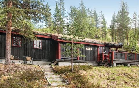 Awesome home in Rendalen with kitchen