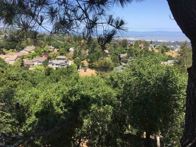 zz — Serenity, Sophistication, and Stunning Views