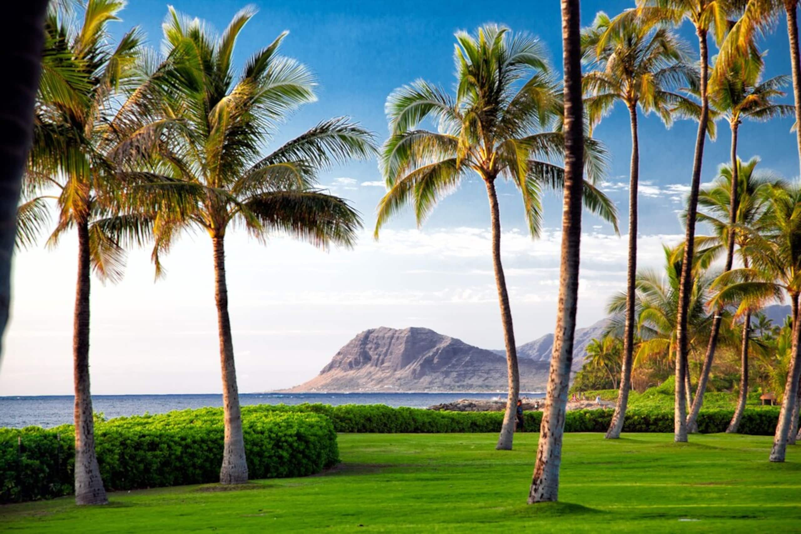 Villa in Ko Olina Beach · ★4.93 · 2 bedrooms · 4 beds · 2 private baths - Image 42