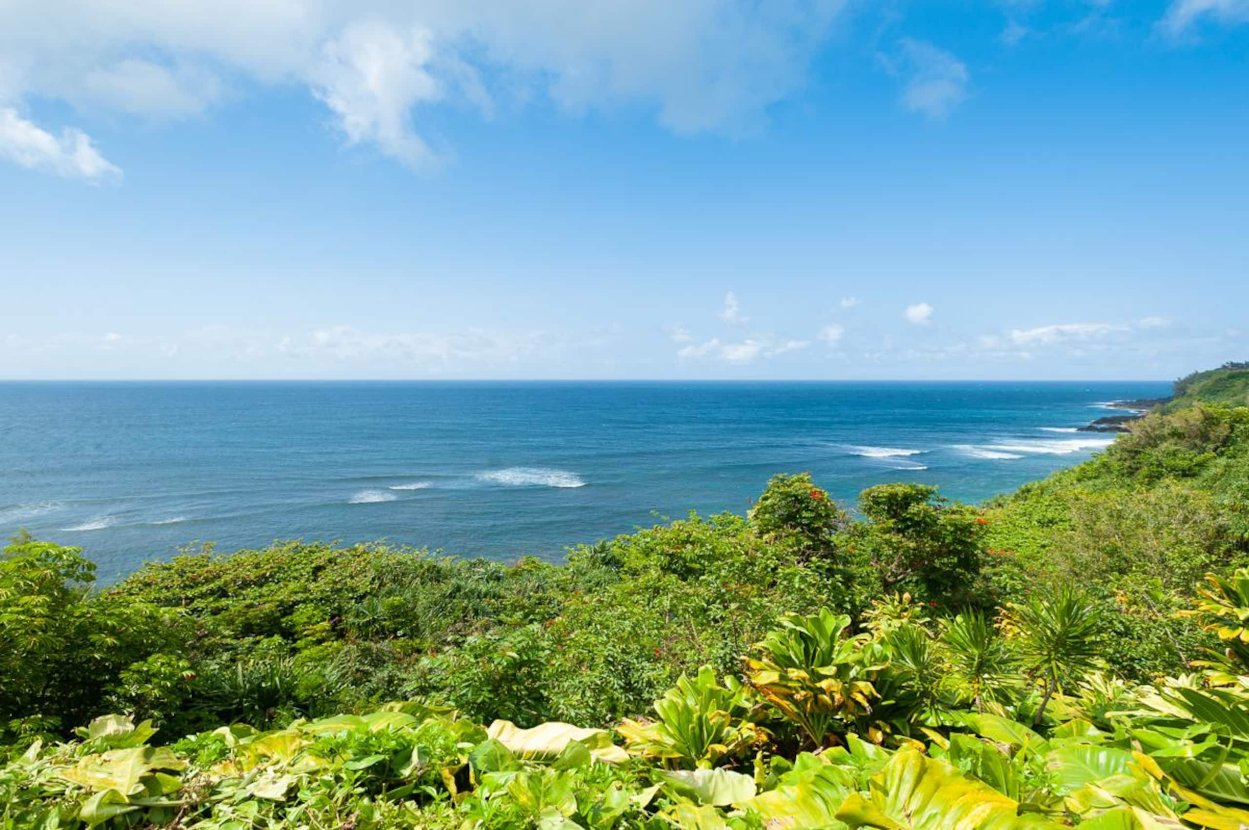 Condo in Princeville · ★4.65 · 2 bedrooms · 4 beds · 2 baths - Image 32