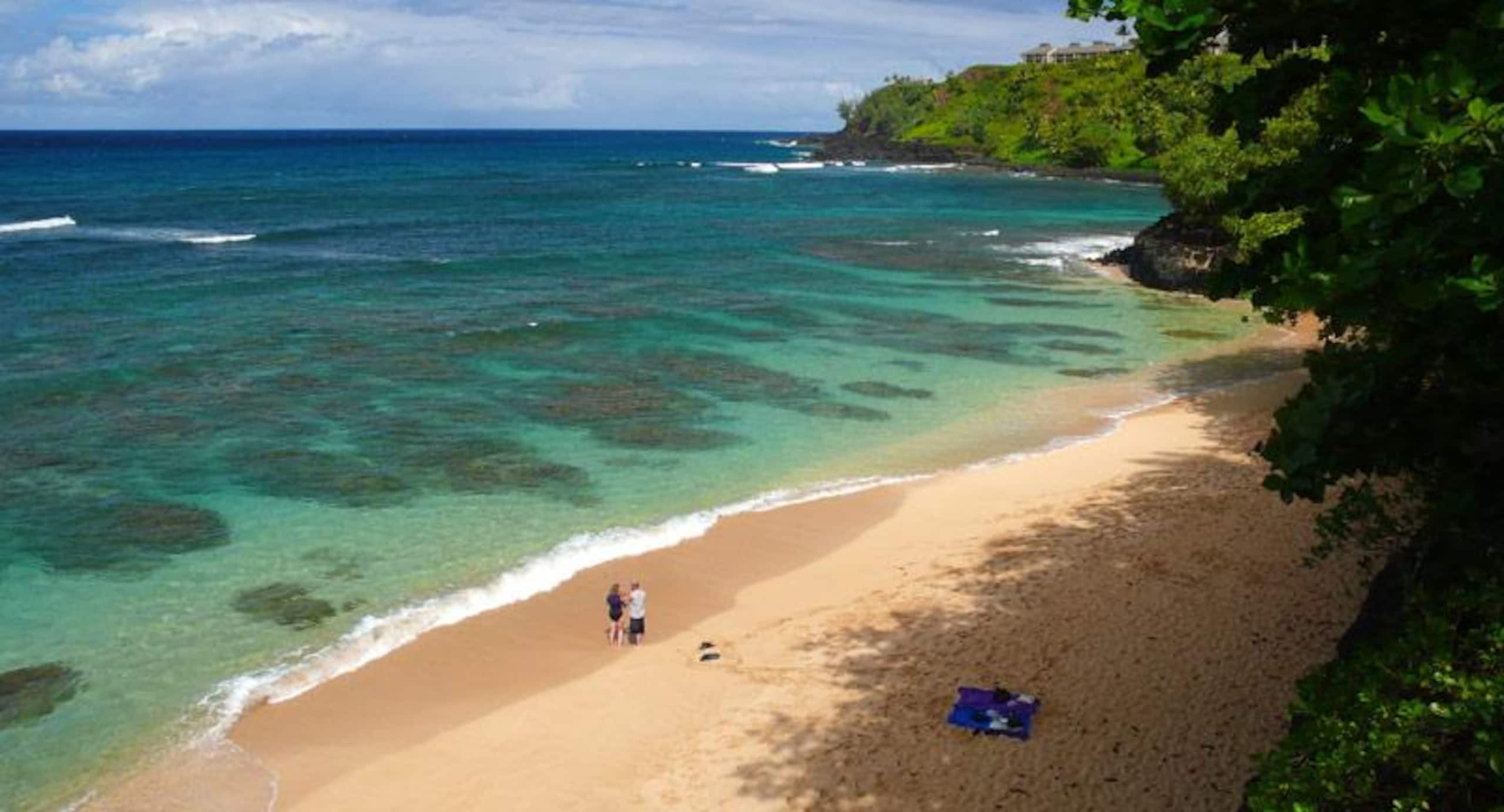 Condo in Princeville · ★4.65 · 2 bedrooms · 4 beds · 2 baths - Image 34