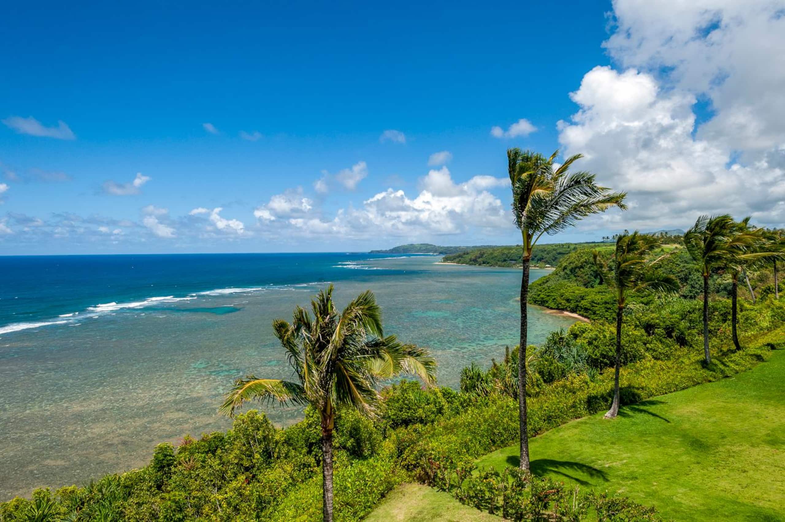 Condo in Princeville · ★4.89 · 1 bedroom · 1 bed · 1 bath - Image 17
