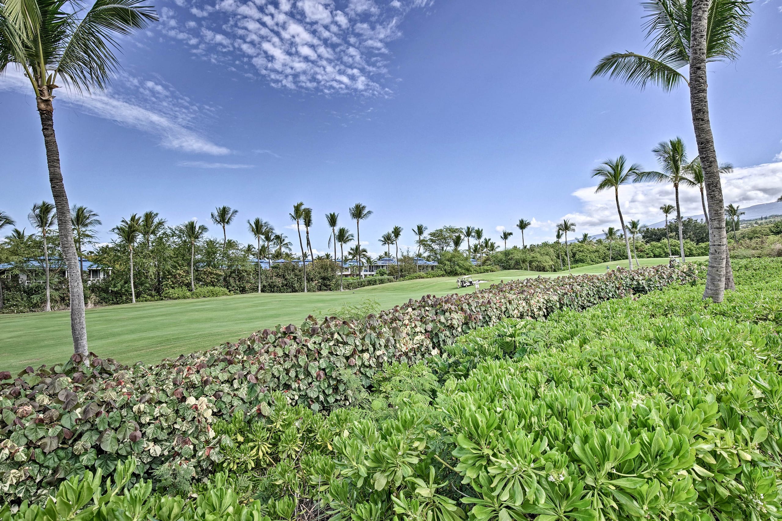 Condo in Kailua-Kona · ★4.97 · 2 bedrooms · 2 beds · 2 shared baths - Image 25