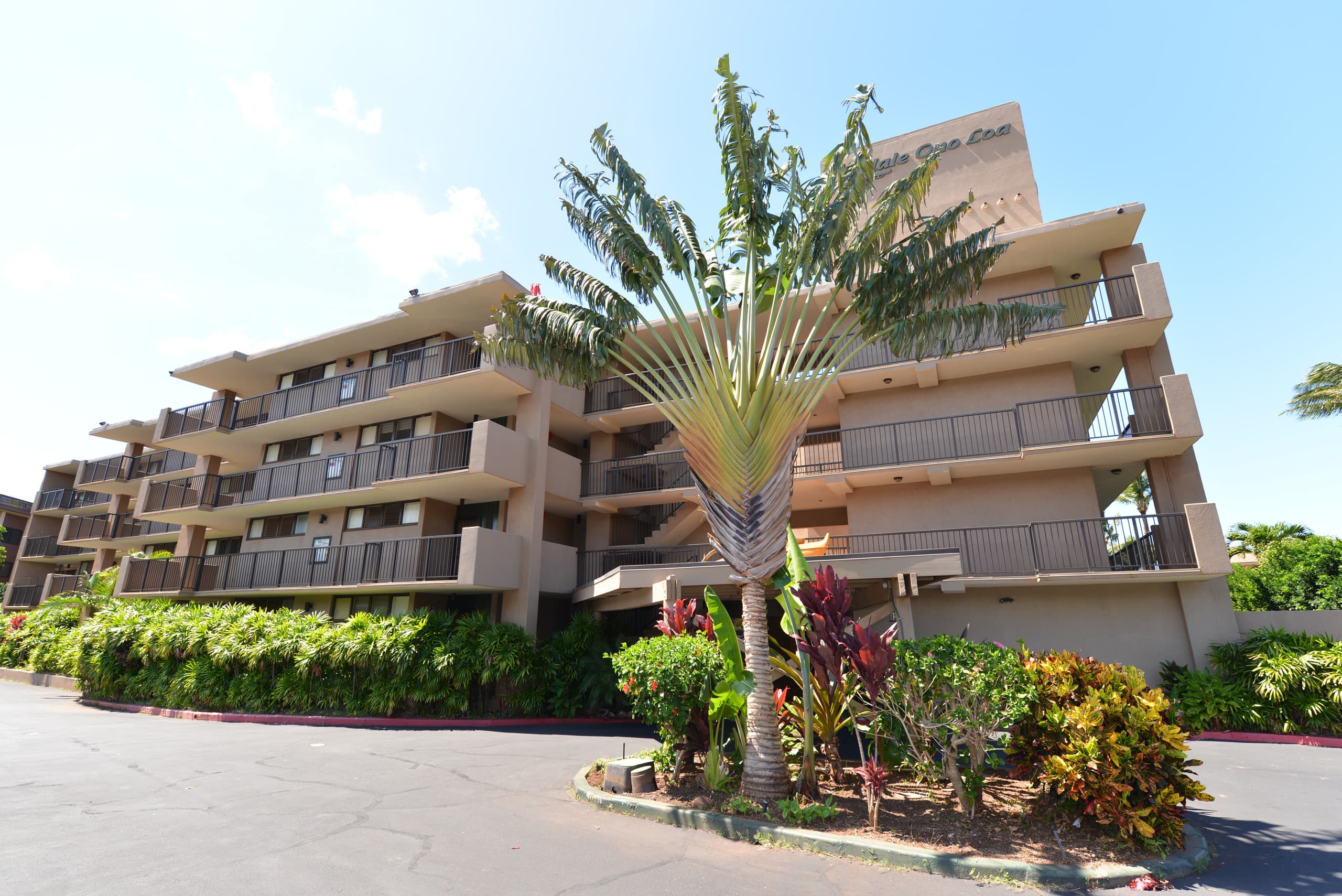 Condo in Lahaina · ★4.78 · 1 bedroom · 1 bed · 1 bath - Image 28