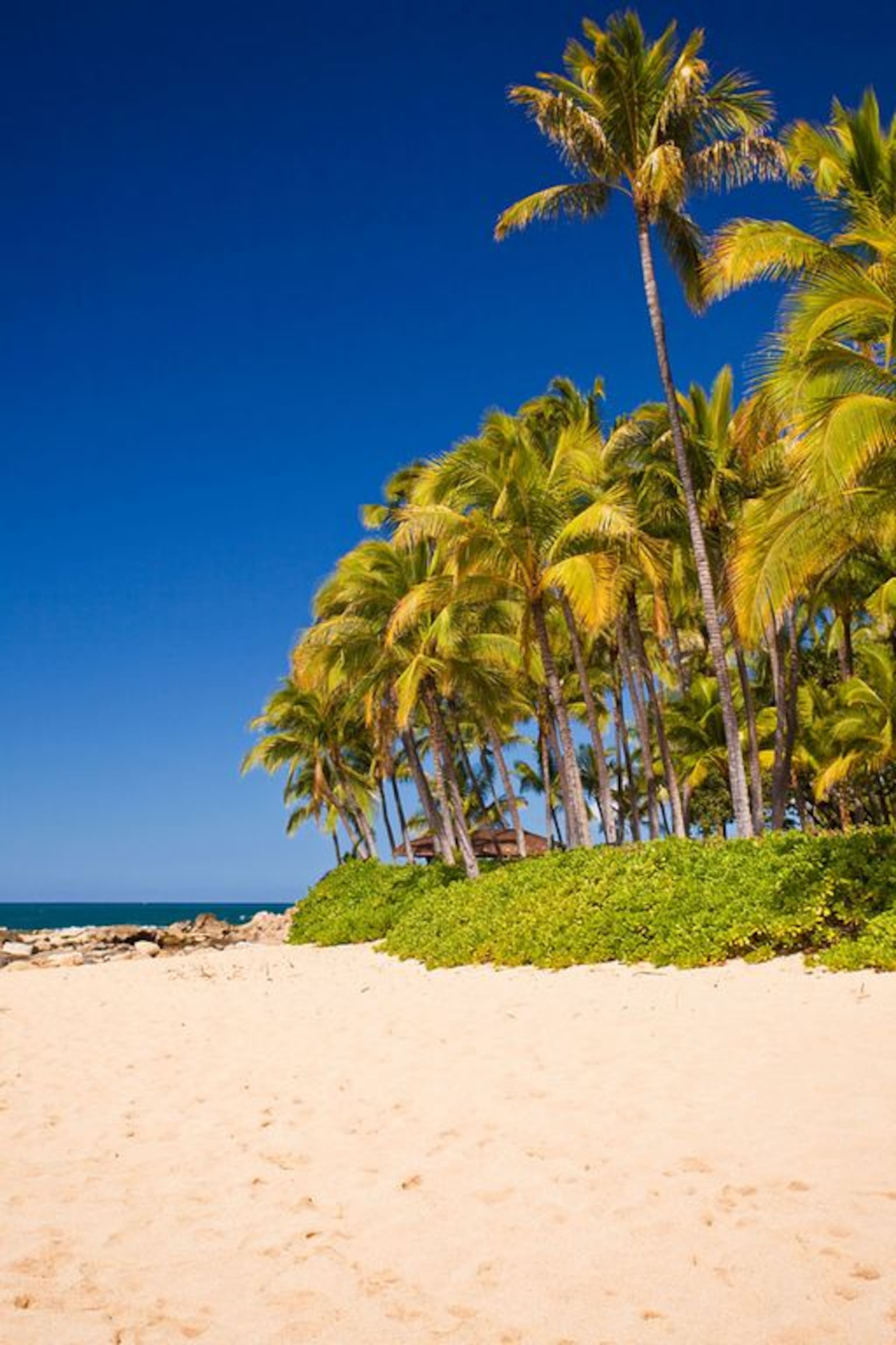 Villa in Honolulu County · ★4.88 · 2 bedrooms · 4 beds · 2 private baths - Image 36