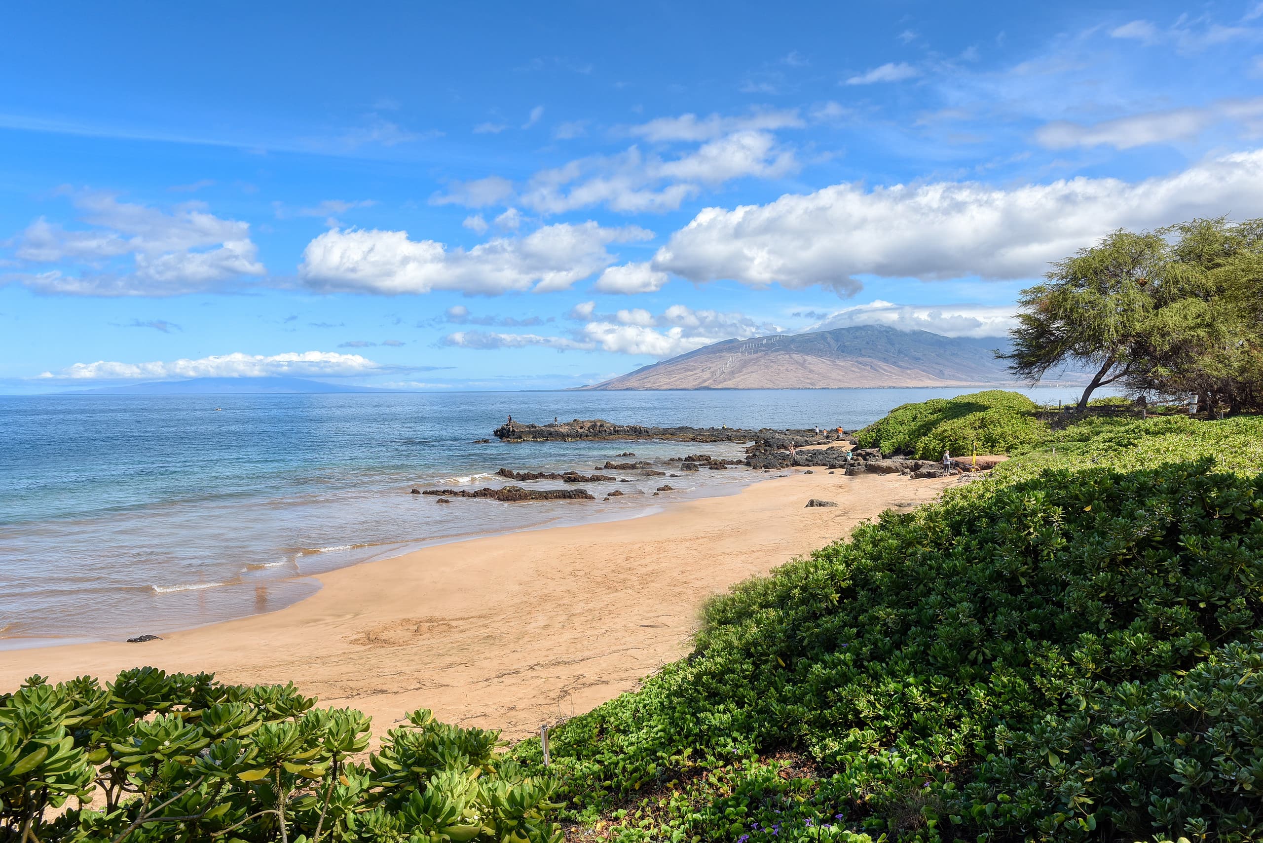 Condo in Kihei · ★4.88 · 2 bedrooms · 2 beds · 2 baths - Image 48