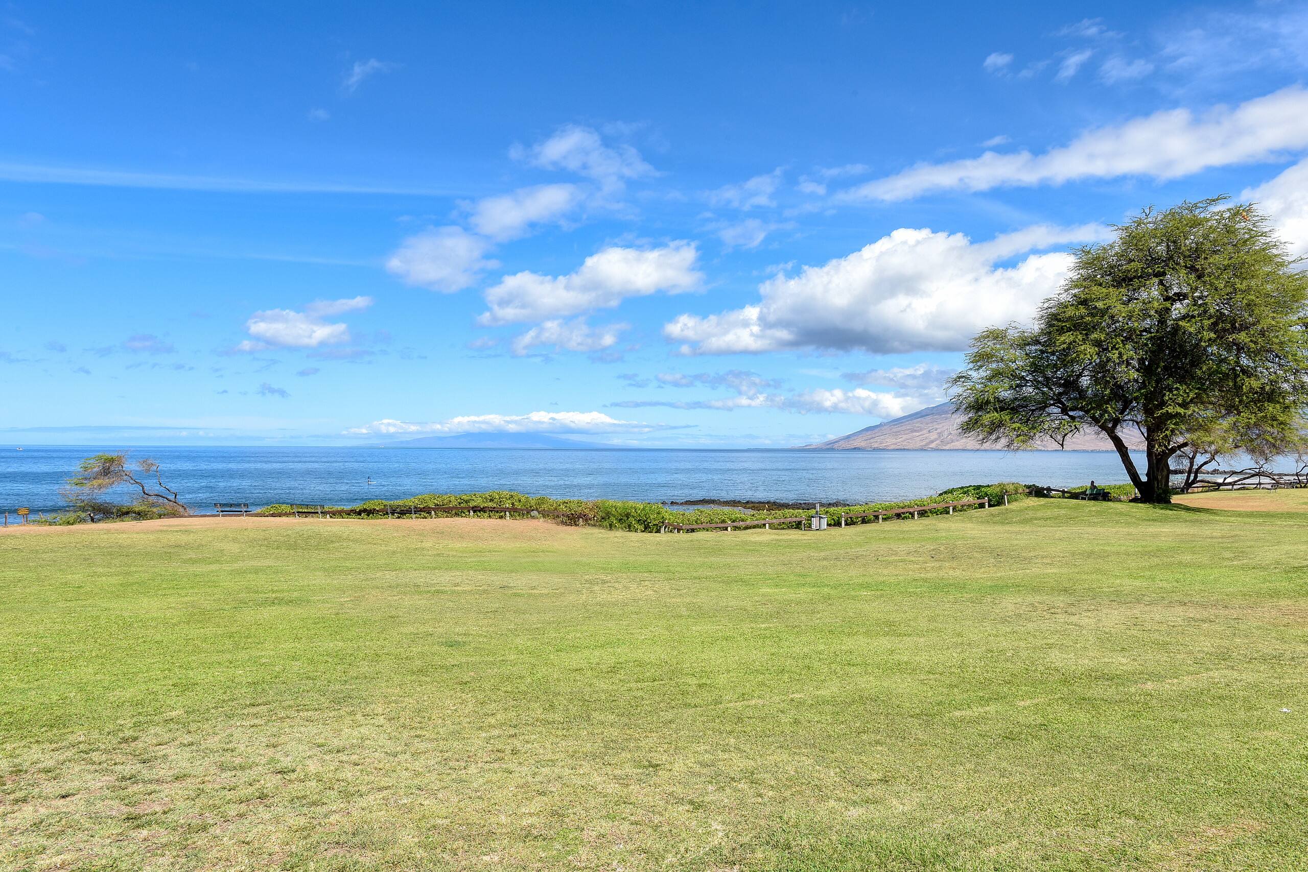 Condo in Kihei · ★4.88 · 2 bedrooms · 2 beds · 2 baths - Image 51