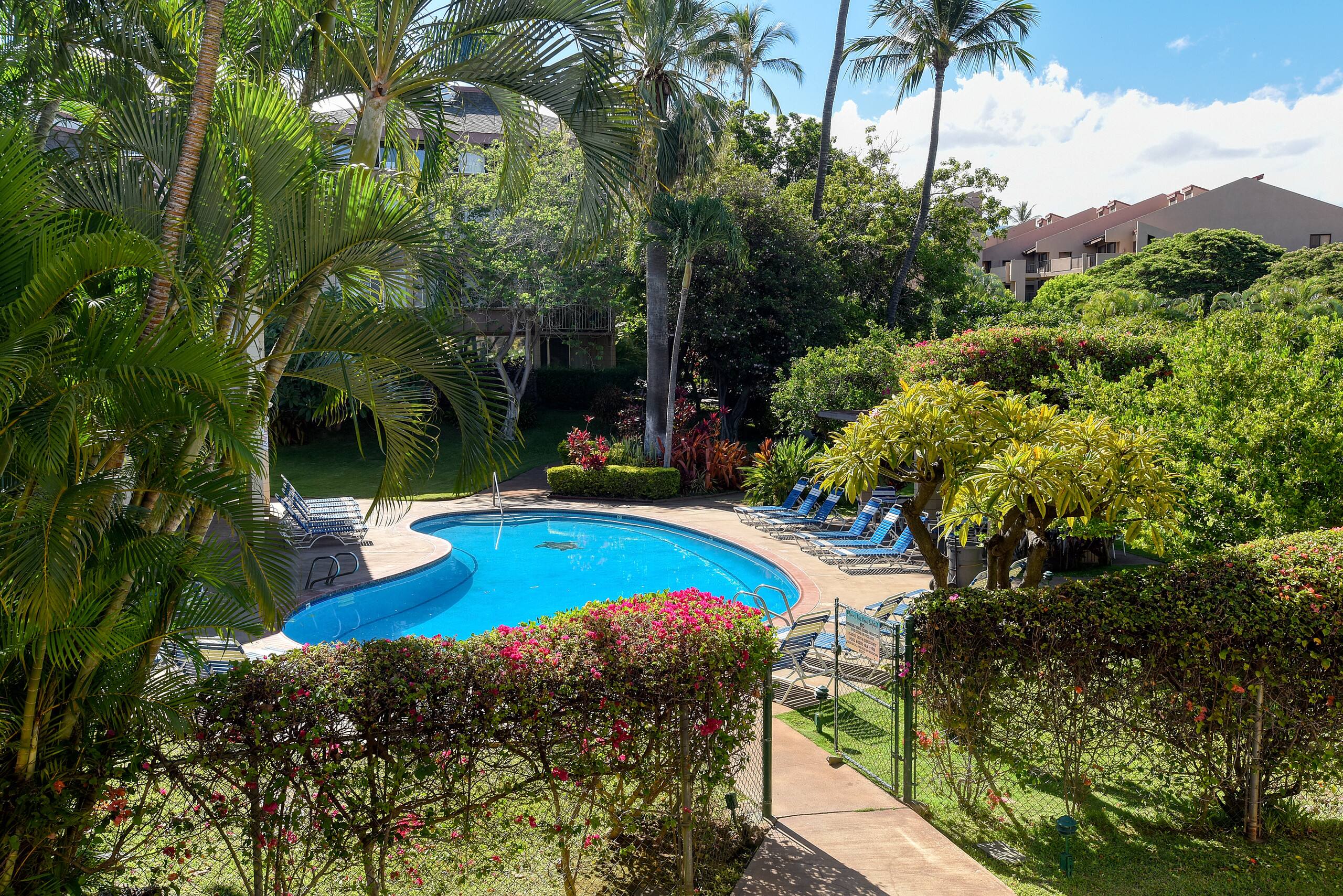 Condo in Kihei · ★4.88 · 2 bedrooms · 2 beds · 2 baths - Image 40