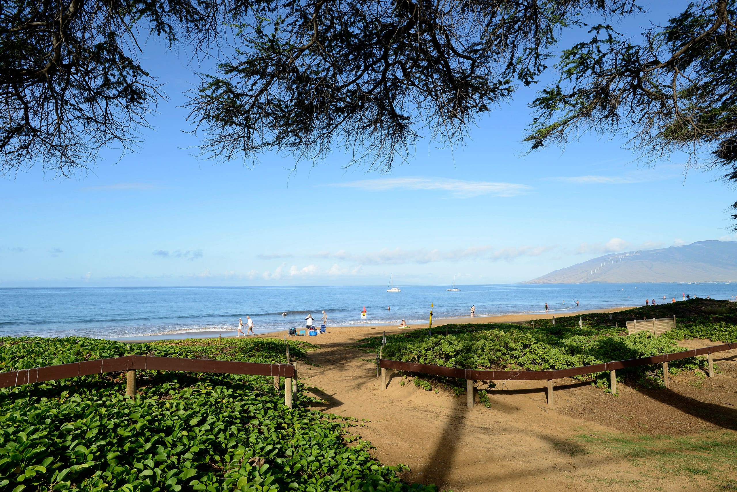 Condo in Kihei · ★4.88 · 2 bedrooms · 2 beds · 2 baths - Image 31