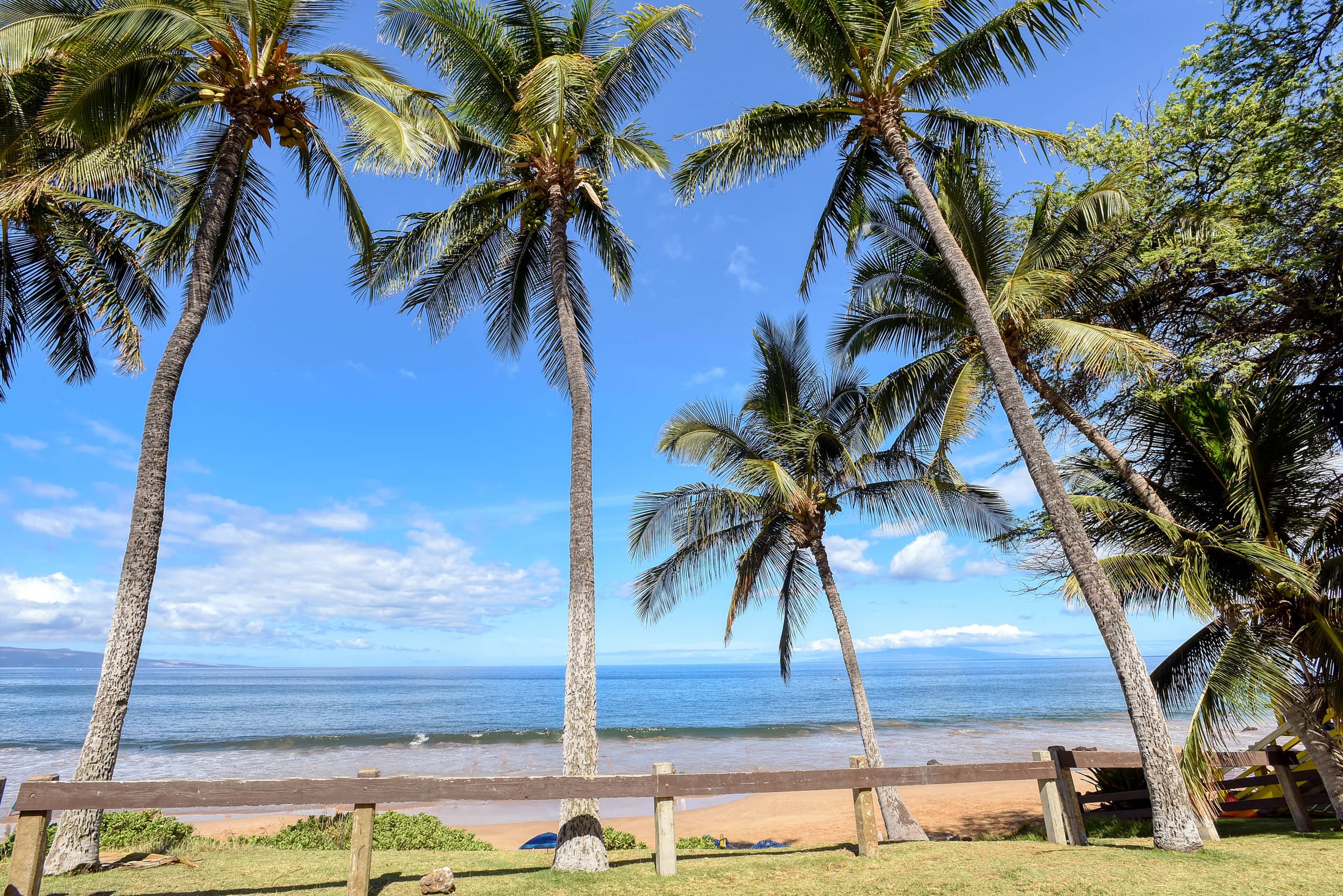 Condo in Kihei · ★4.88 · 2 bedrooms · 2 beds · 2 baths - Image 49