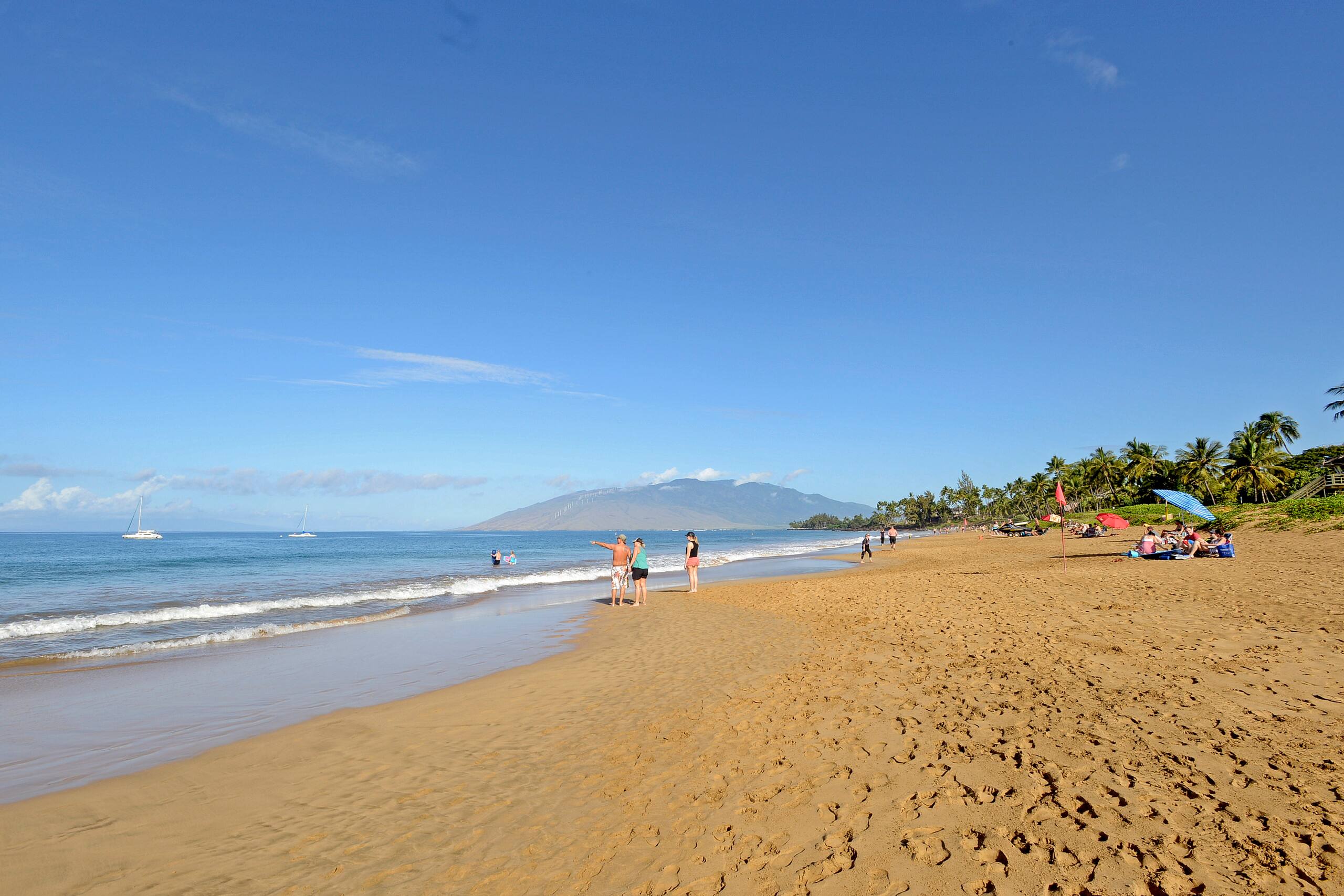 Condo in Kihei · ★4.88 · 2 bedrooms · 2 beds · 2 baths - Image 32