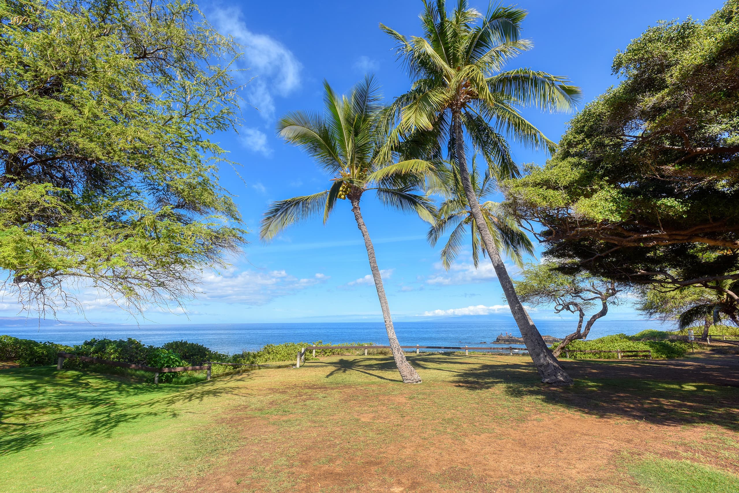 Condo in Kihei · ★4.88 · 2 bedrooms · 2 beds · 2 baths - Image 47