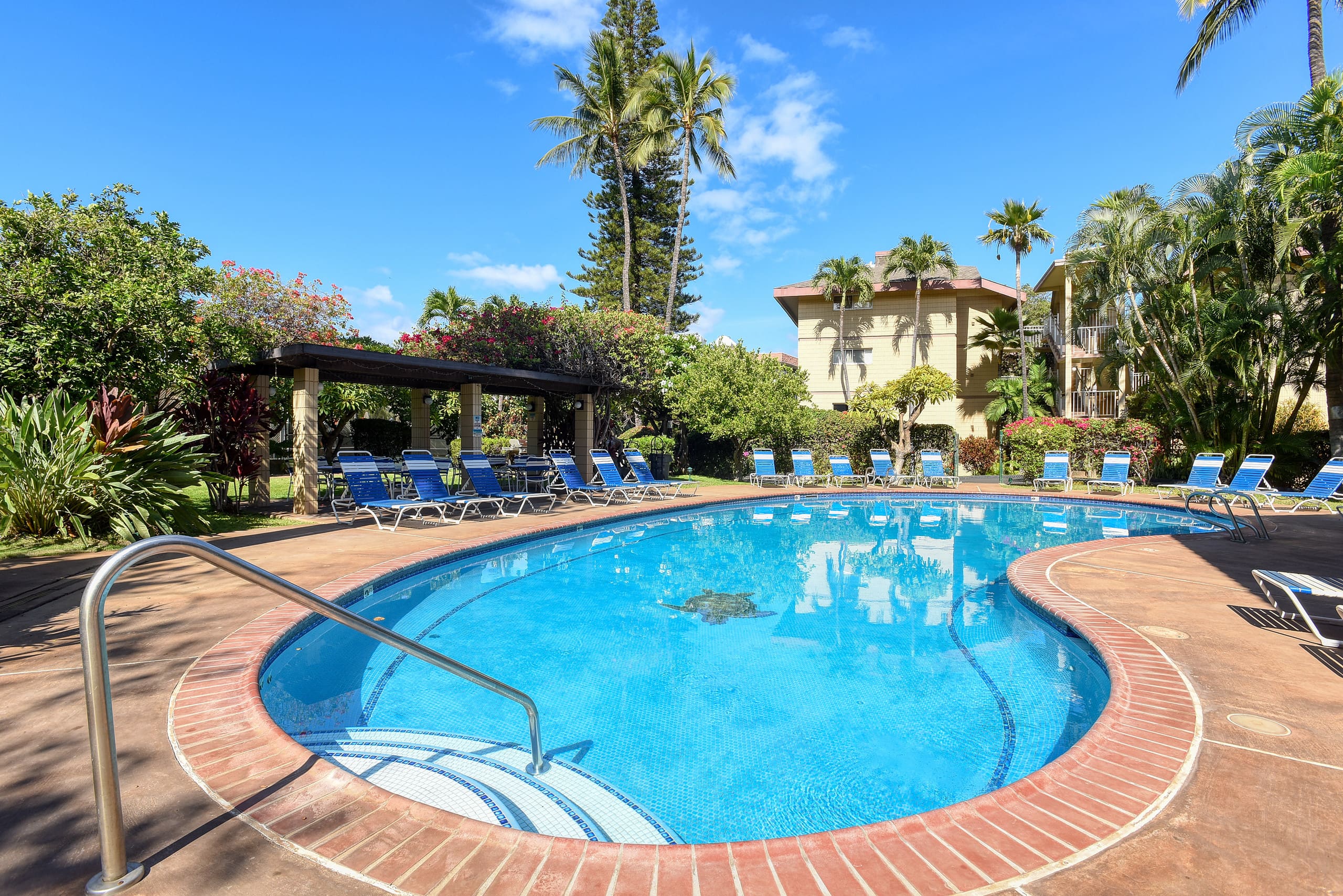Condo in Kihei · ★4.88 · 2 bedrooms · 2 beds · 2 baths - Image 21
