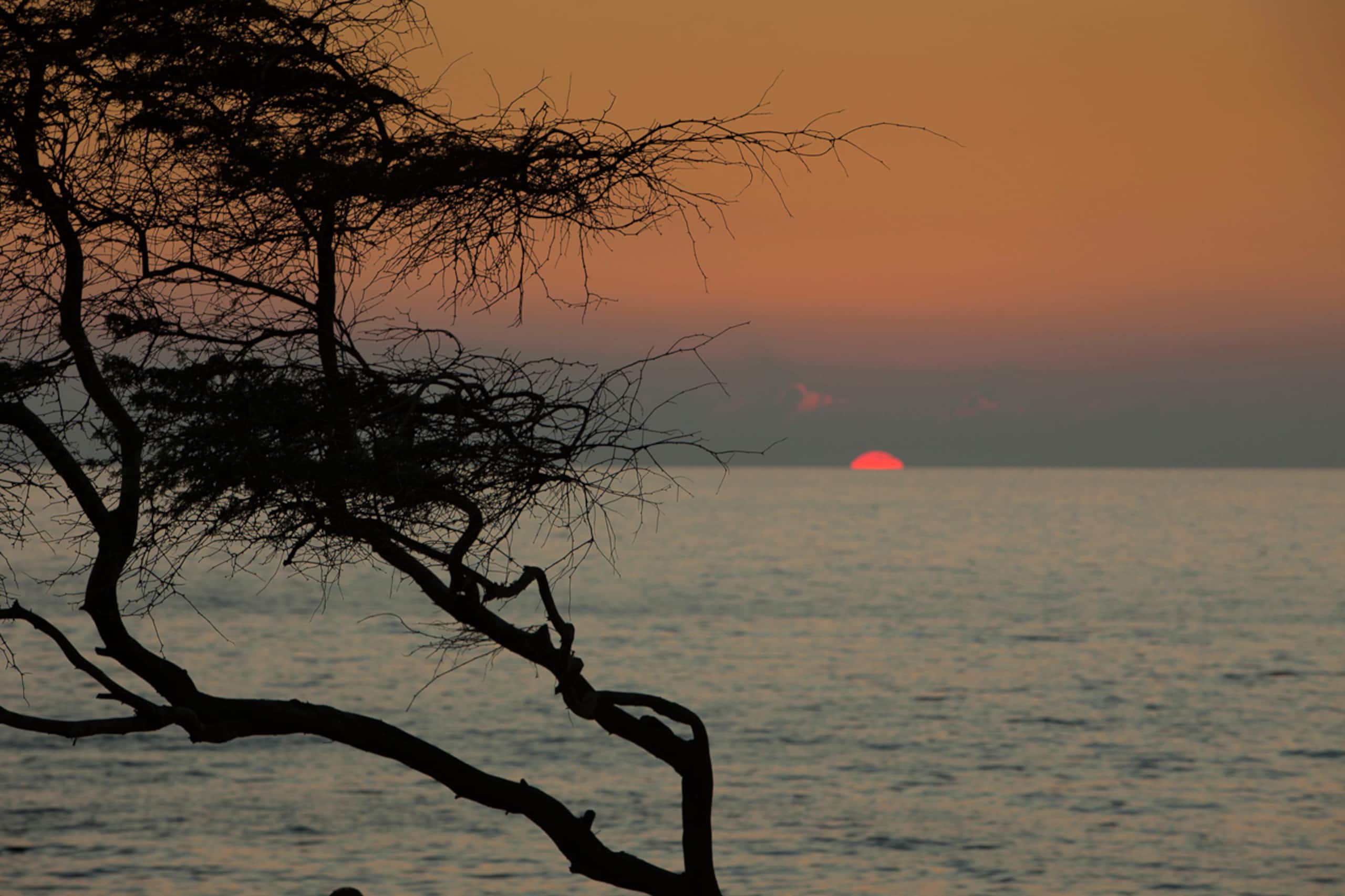Condo in Kihei · ★4.92 · 1 bedroom · 2 beds · 2 baths - Image 51