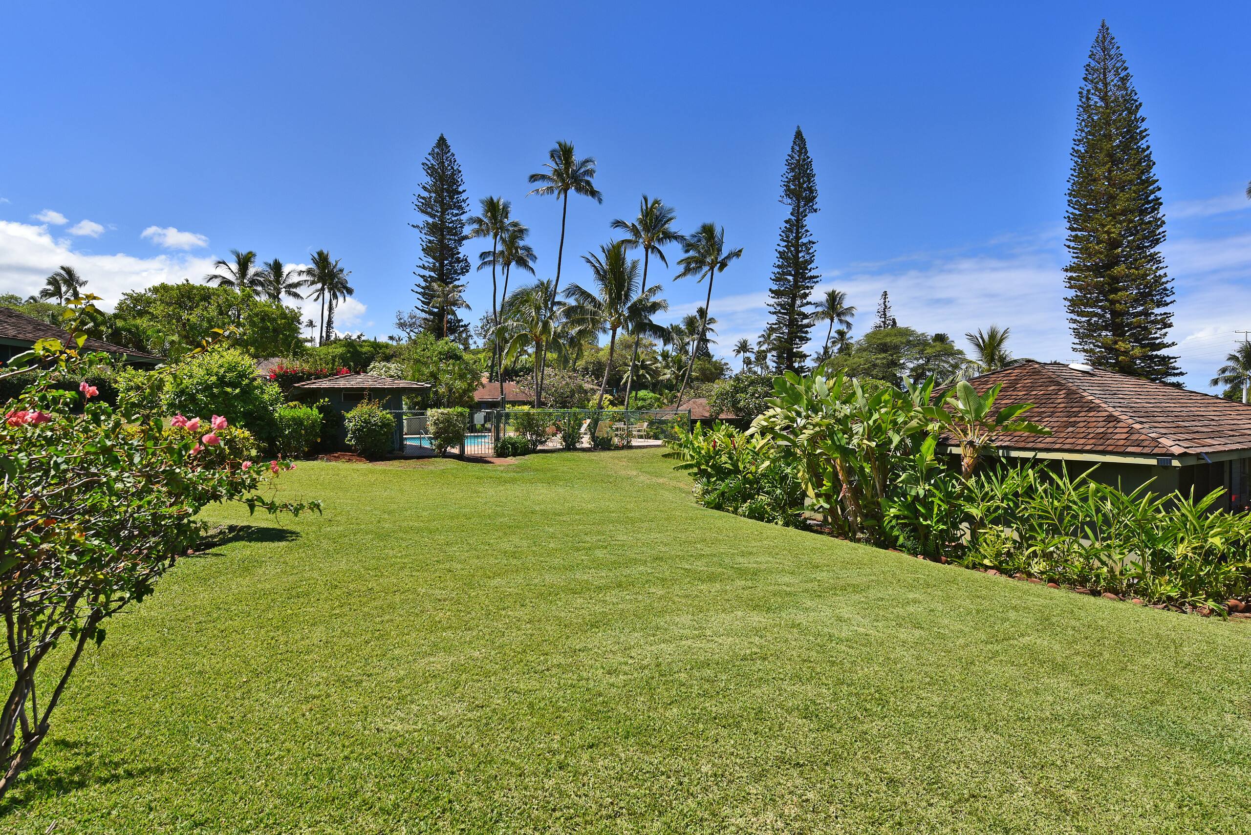 Home in Lahaina · ★4.95 · 2 bedrooms · 4 beds · 2 baths - Image 21