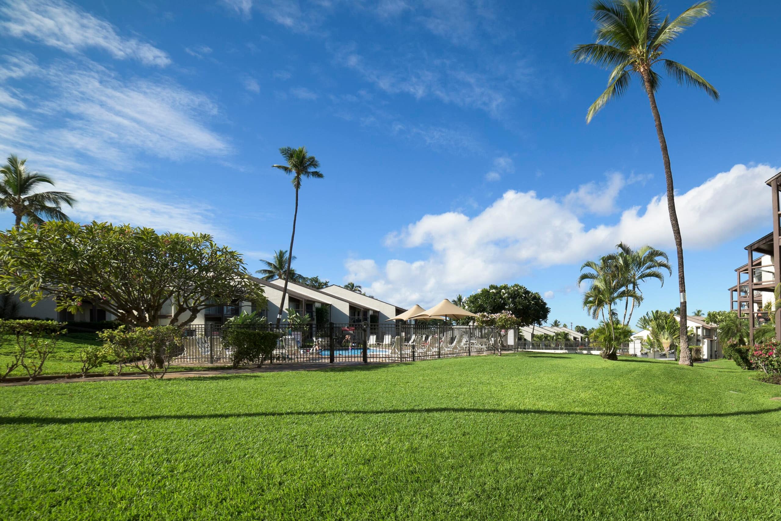 Apartment in Kihei · ★4.4 · 1 bedroom · 2 beds · 1 private bathroom - Image 42