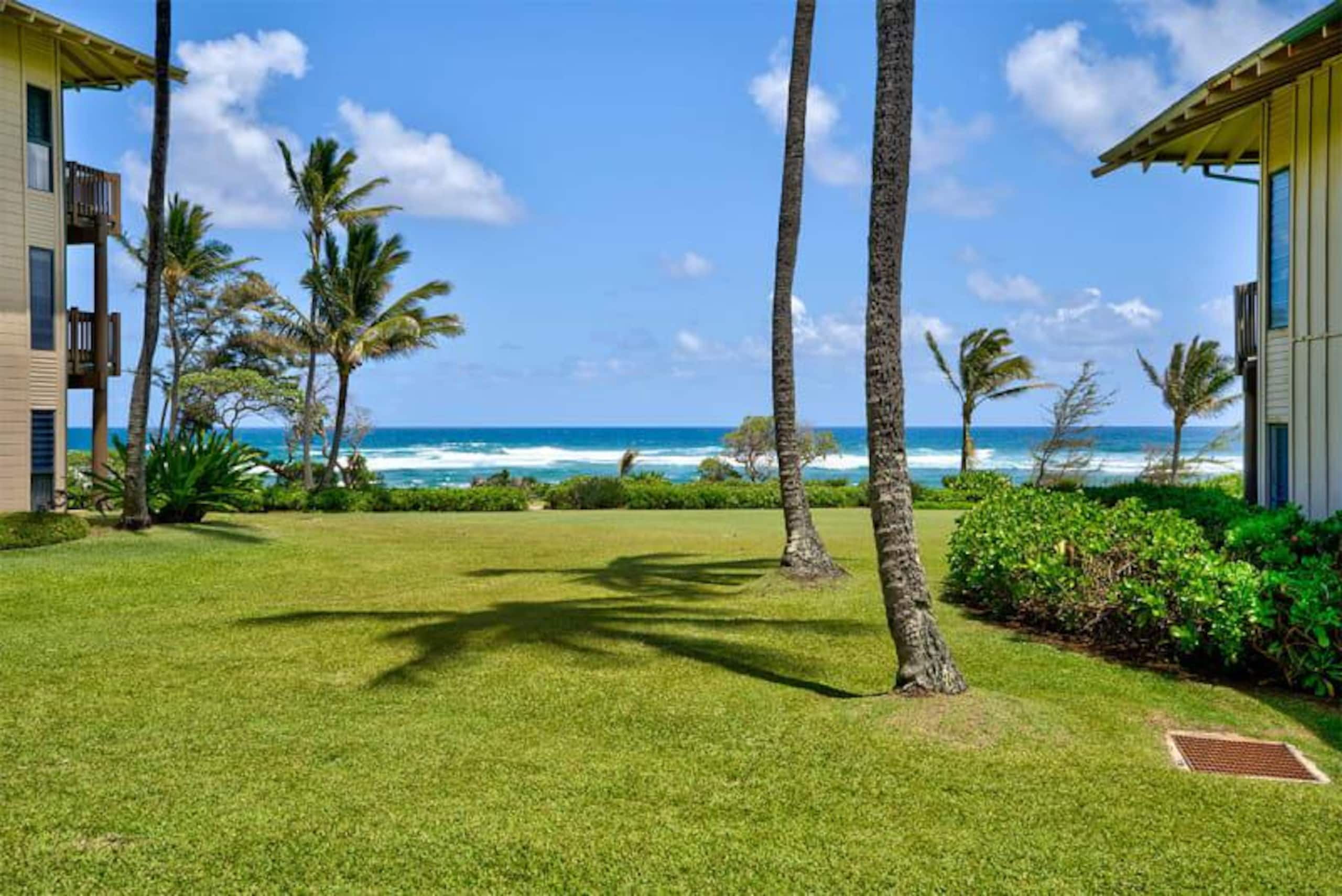 Beachside retreat w/ pool - steps to Lydgate - Photo 12