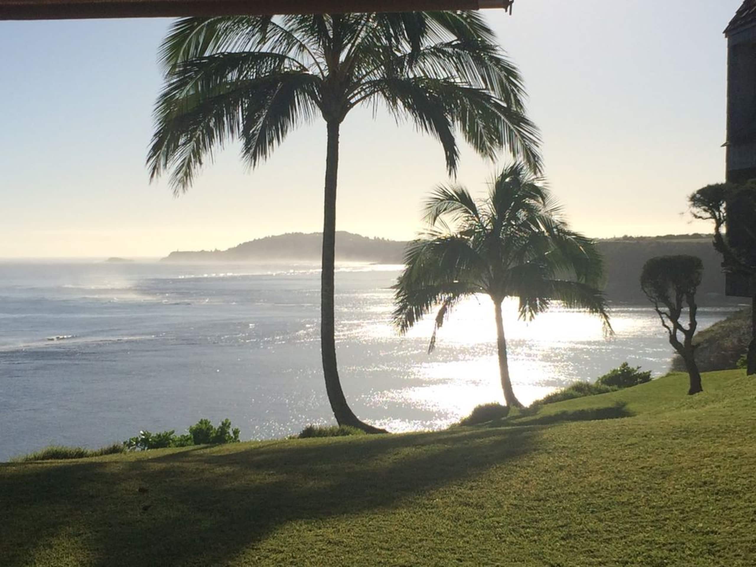 Villa in Princeville · ★4.95 · 4 bedrooms · 6 beds · 4.5 baths - Image 43