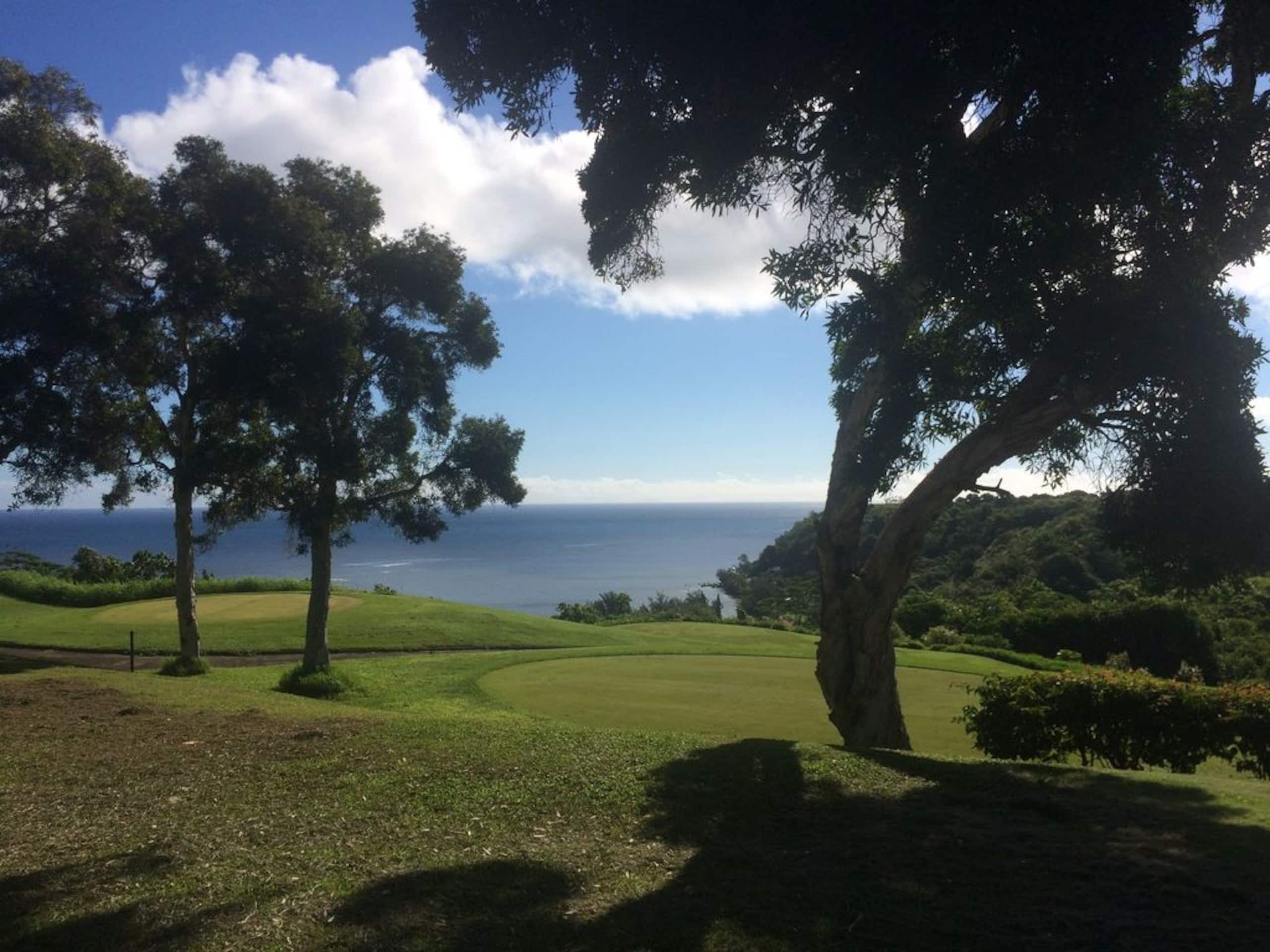 Villa in Princeville · ★4.95 · 4 bedrooms · 6 beds · 4.5 baths - Image 41