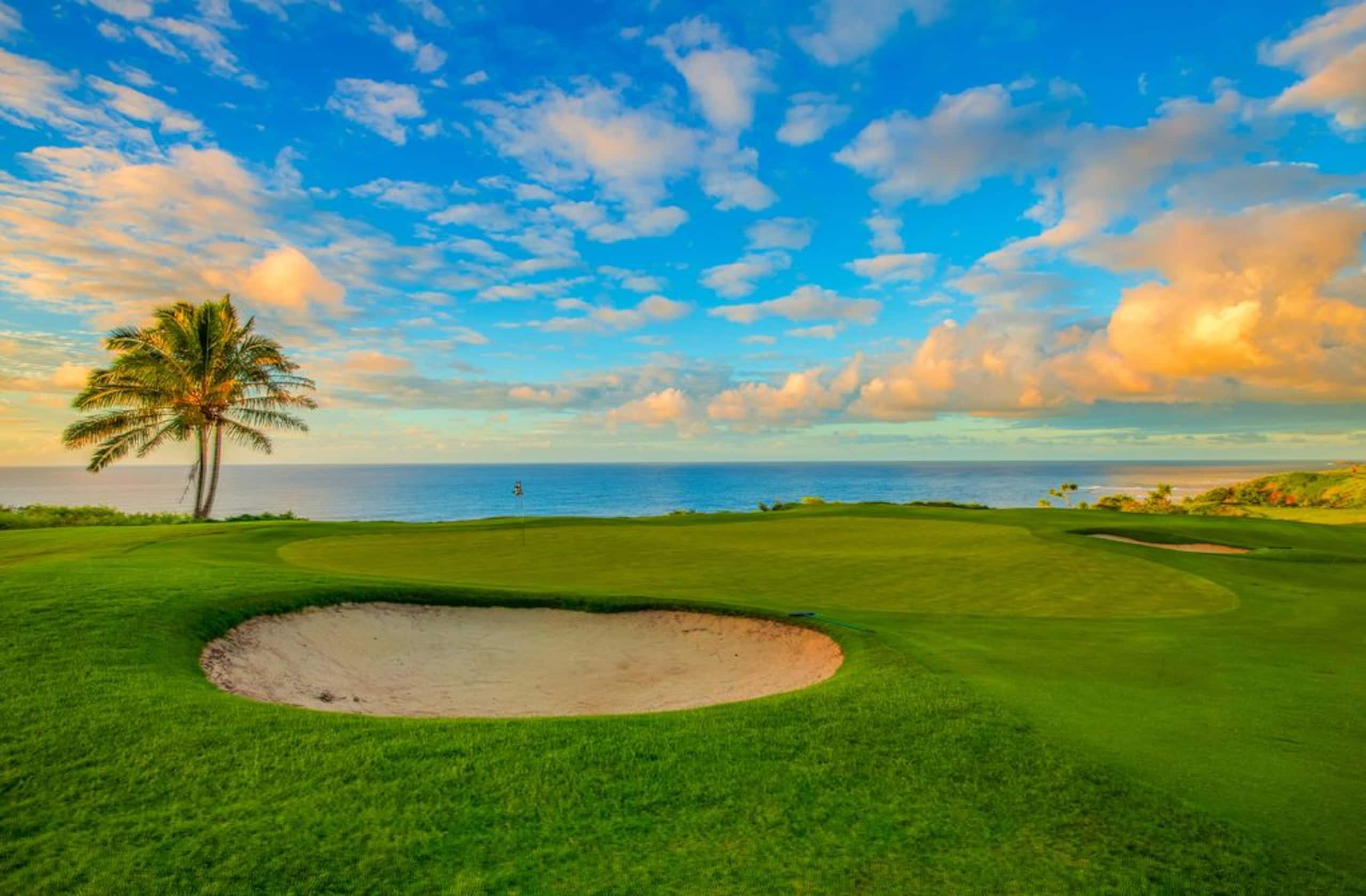 Villa in Princeville · ★4.95 · 4 bedrooms · 6 beds · 4.5 baths - Image 51