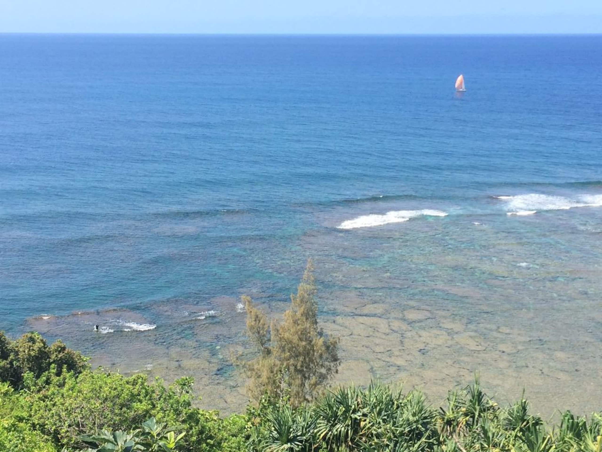Villa in Princeville · ★4.95 · 4 bedrooms · 6 beds · 4.5 baths - Image 48