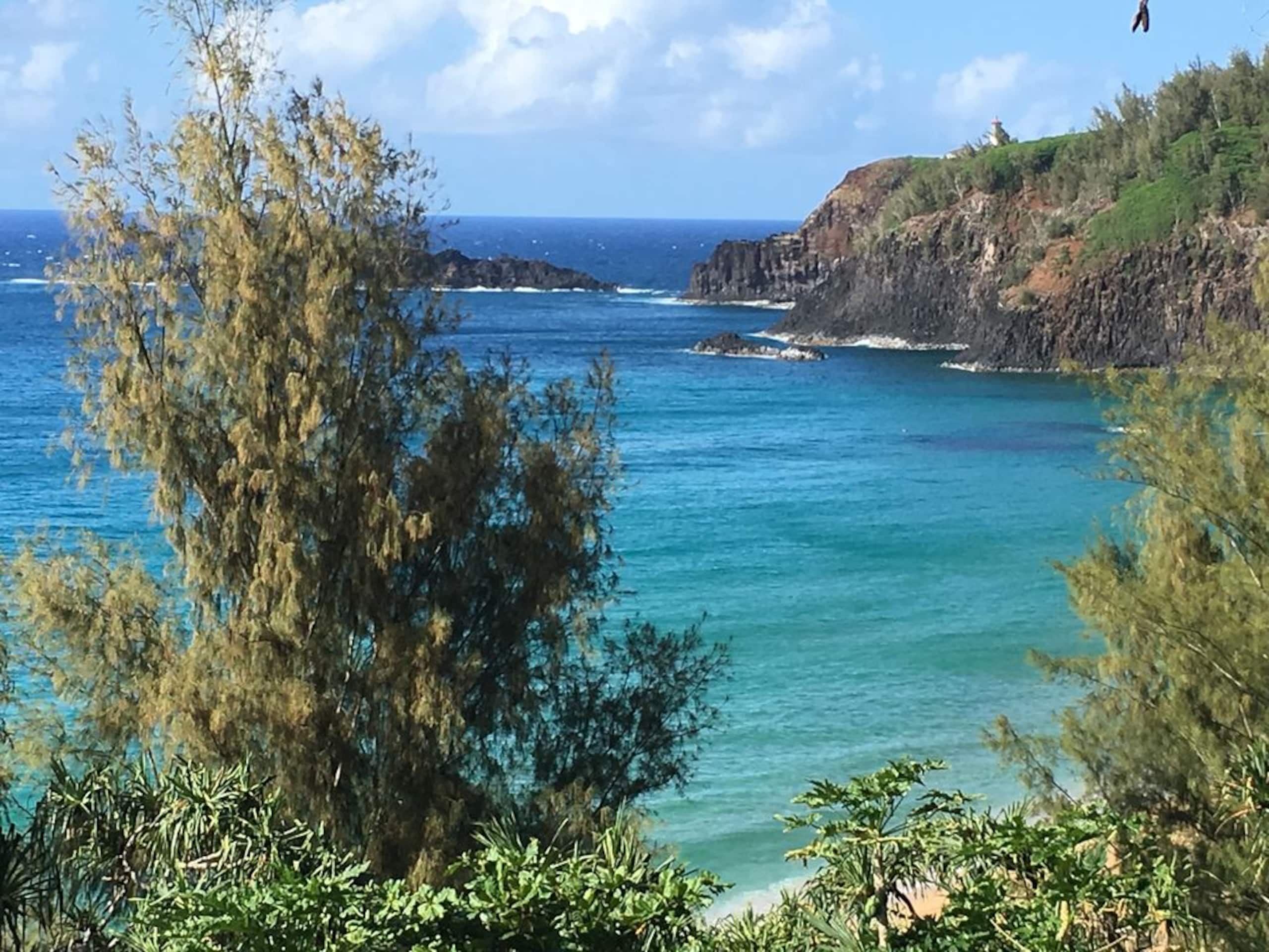 Villa in Princeville · ★4.95 · 4 bedrooms · 6 beds · 4.5 baths - Image 40