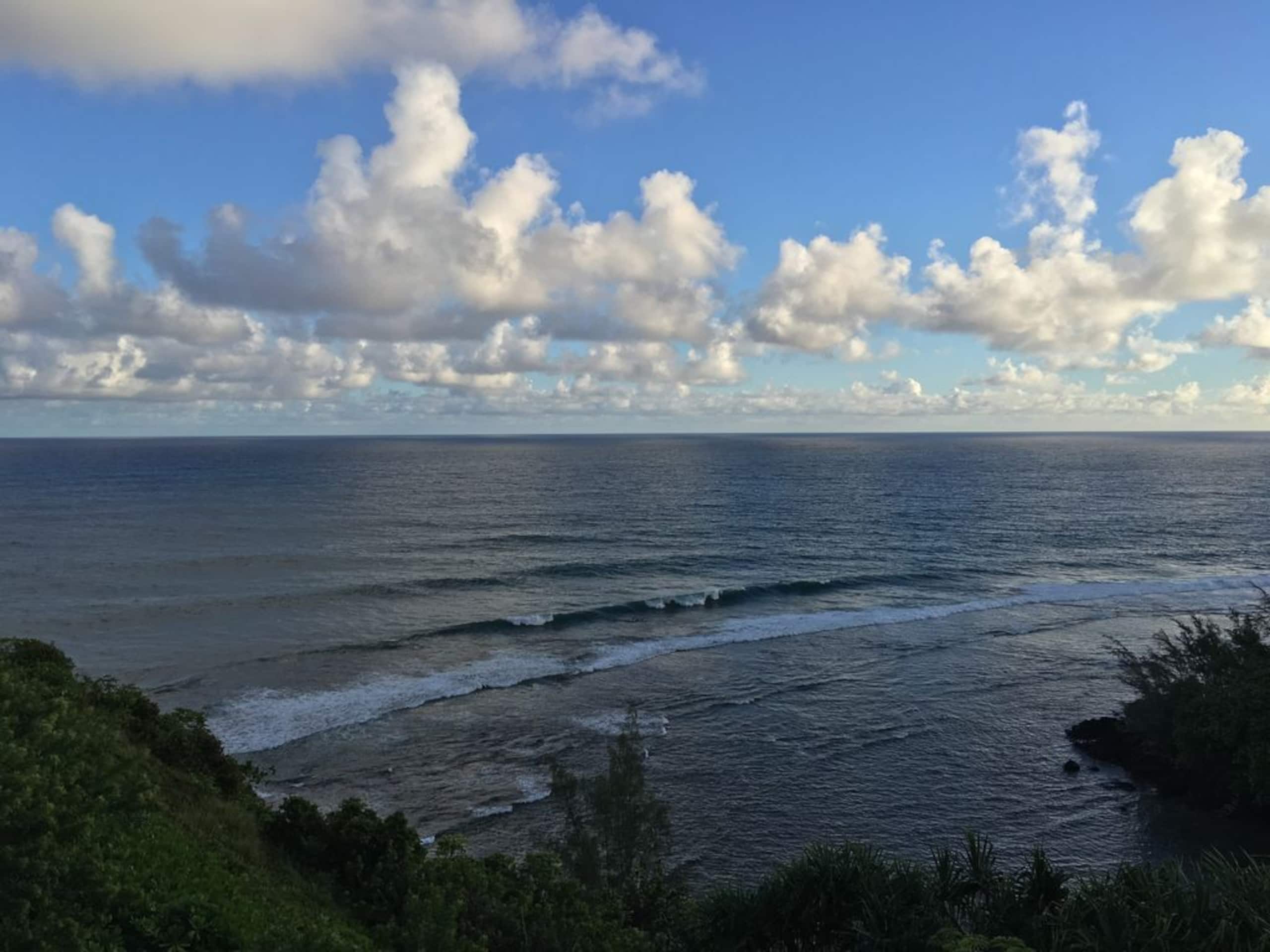 Villa in Princeville · ★4.95 · 4 bedrooms · 6 beds · 4.5 baths - Image 45