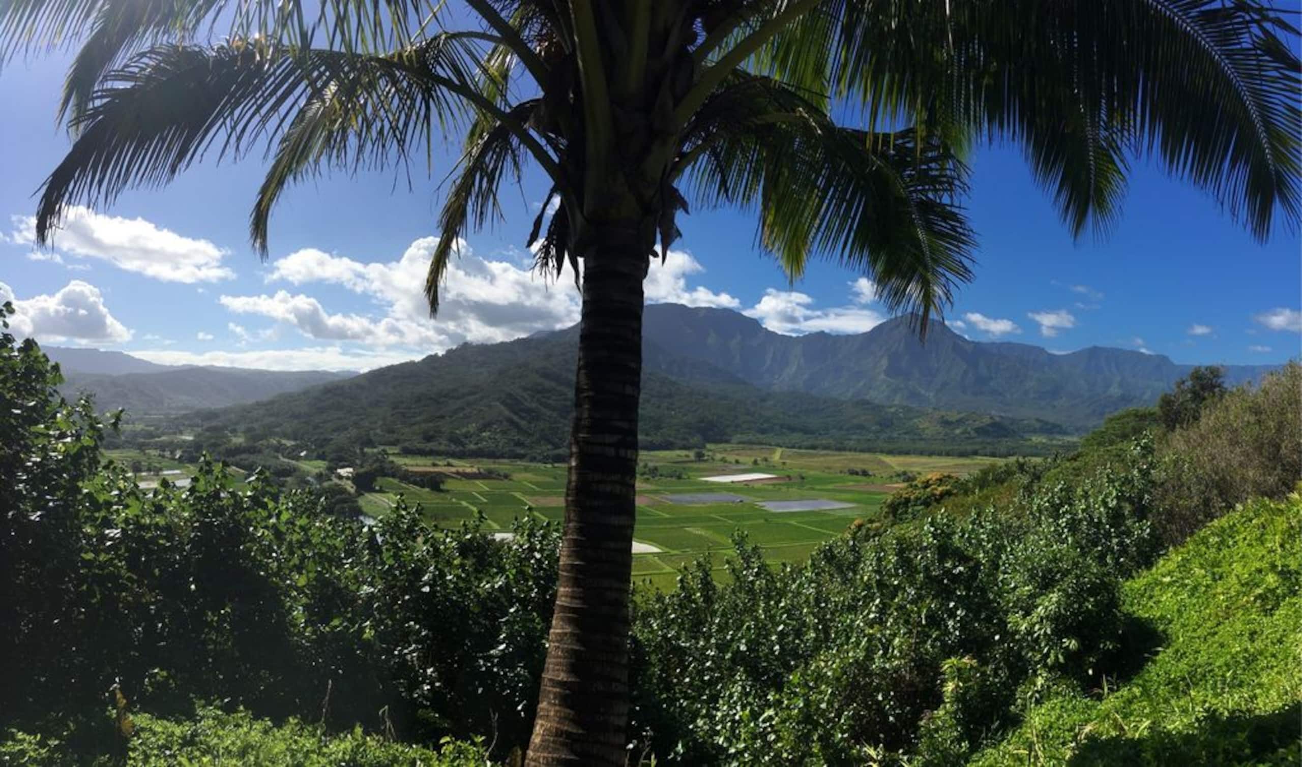Villa in Princeville · ★4.95 · 4 bedrooms · 6 beds · 4.5 baths - Image 53