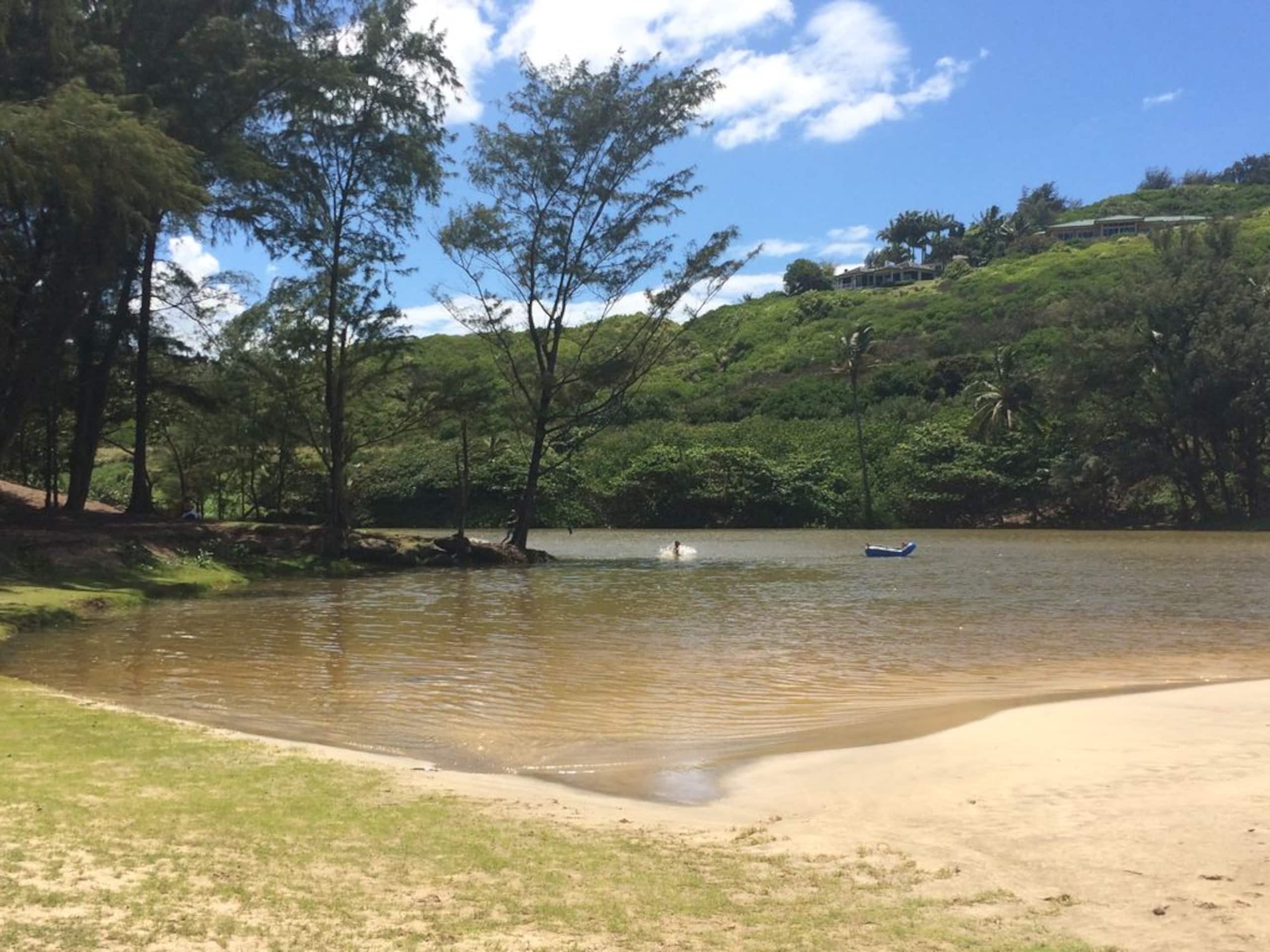 Villa in Princeville · ★4.95 · 4 bedrooms · 6 beds · 4.5 baths - Image 39