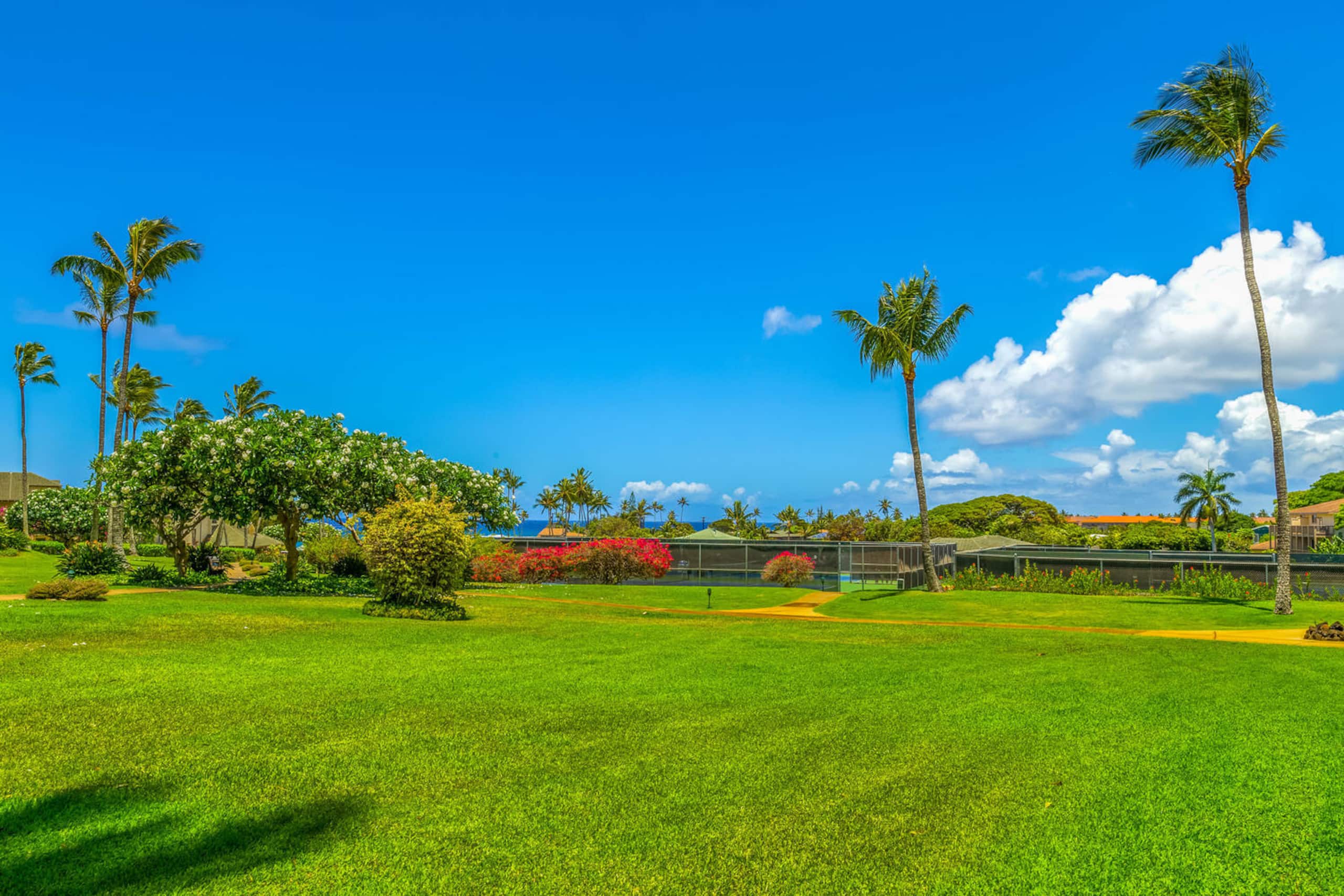 3 King Beds/3 Baths, AC, 5 Min Walk to Poipu Beach - Photo 44