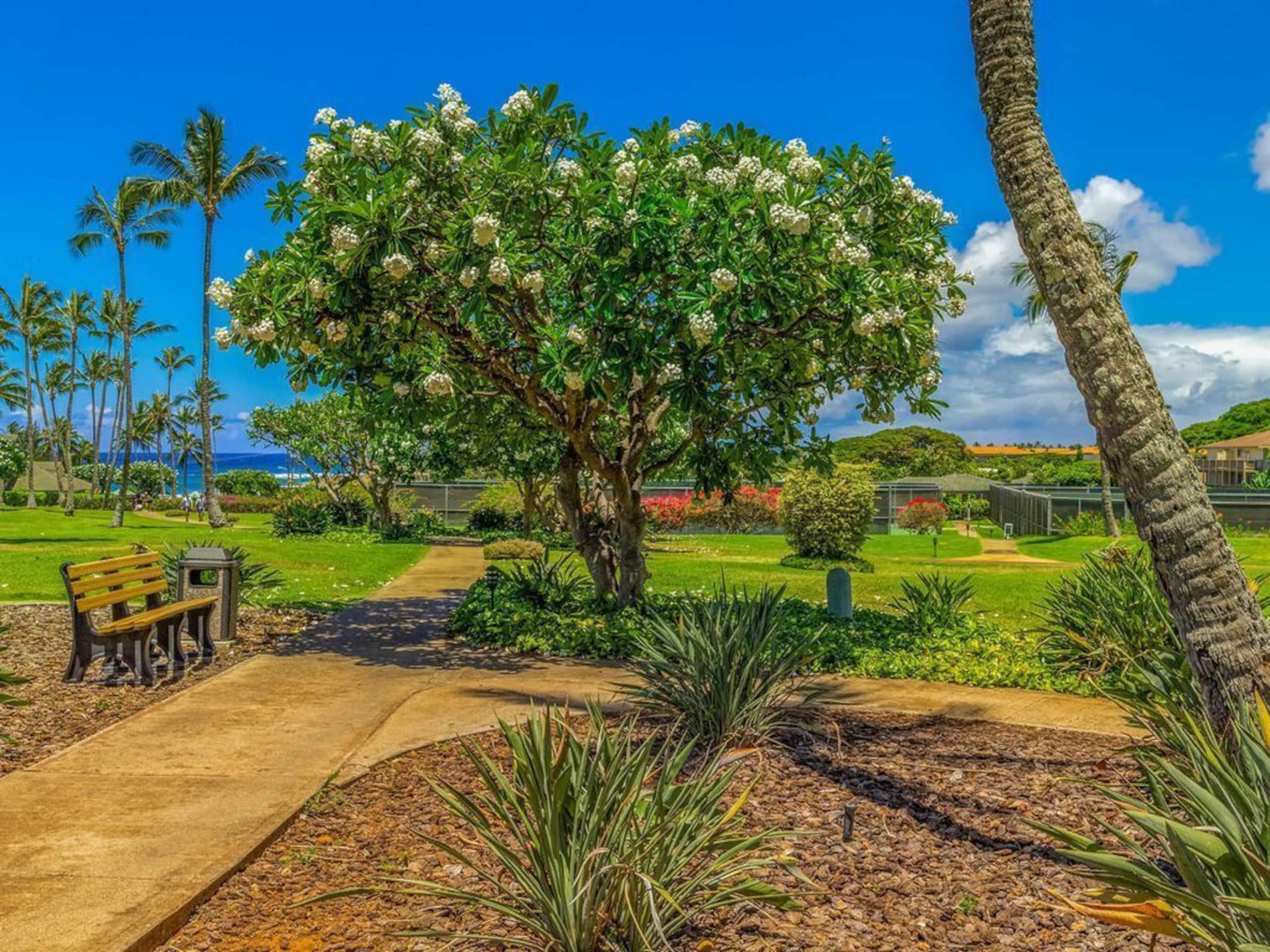 3 King Beds/3 Baths, AC, 5 Min Walk to Poipu Beach - Photo 45