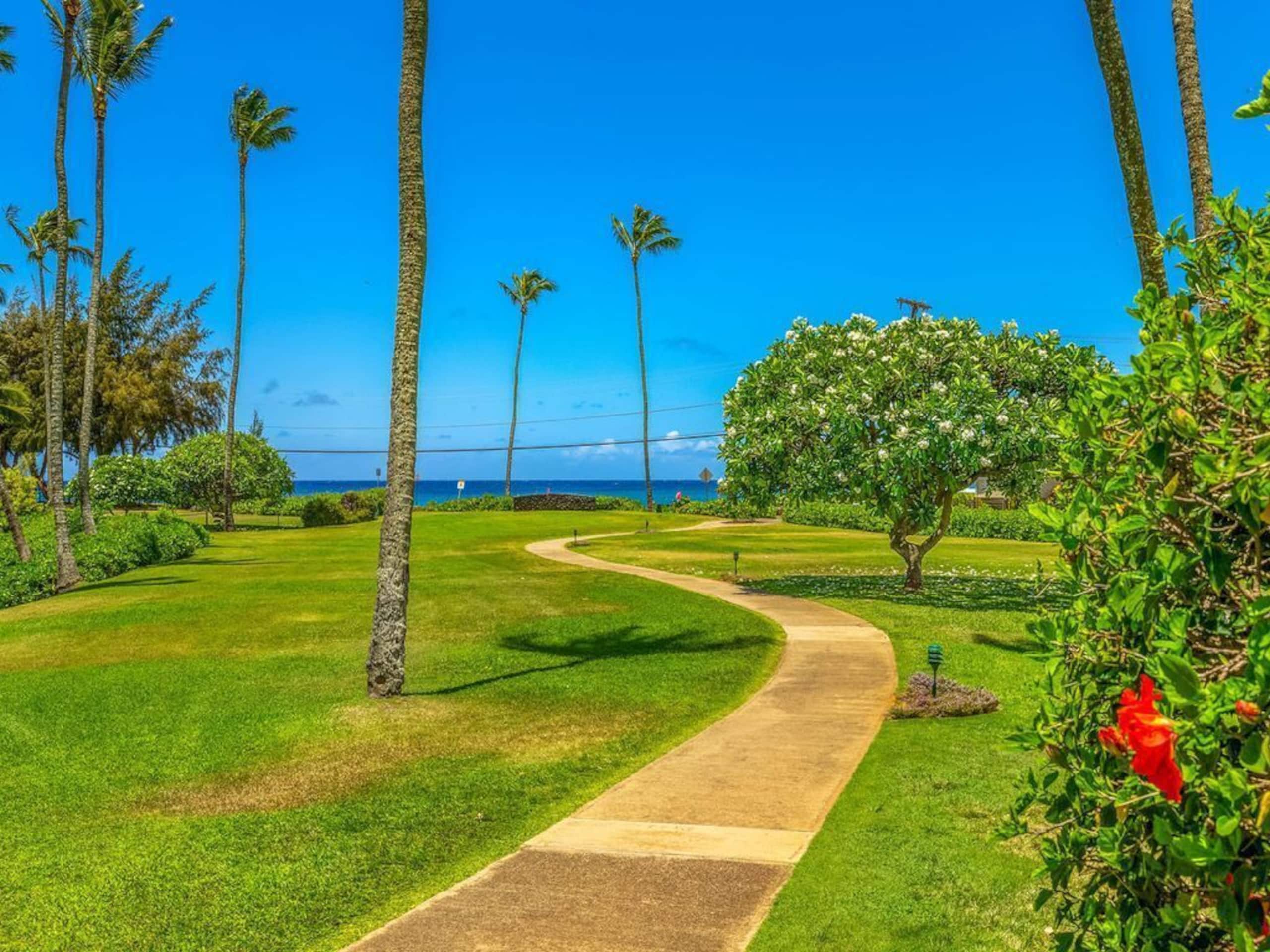 3 King Beds/3 Baths, AC, 5 Min Walk to Poipu Beach - Photo 43