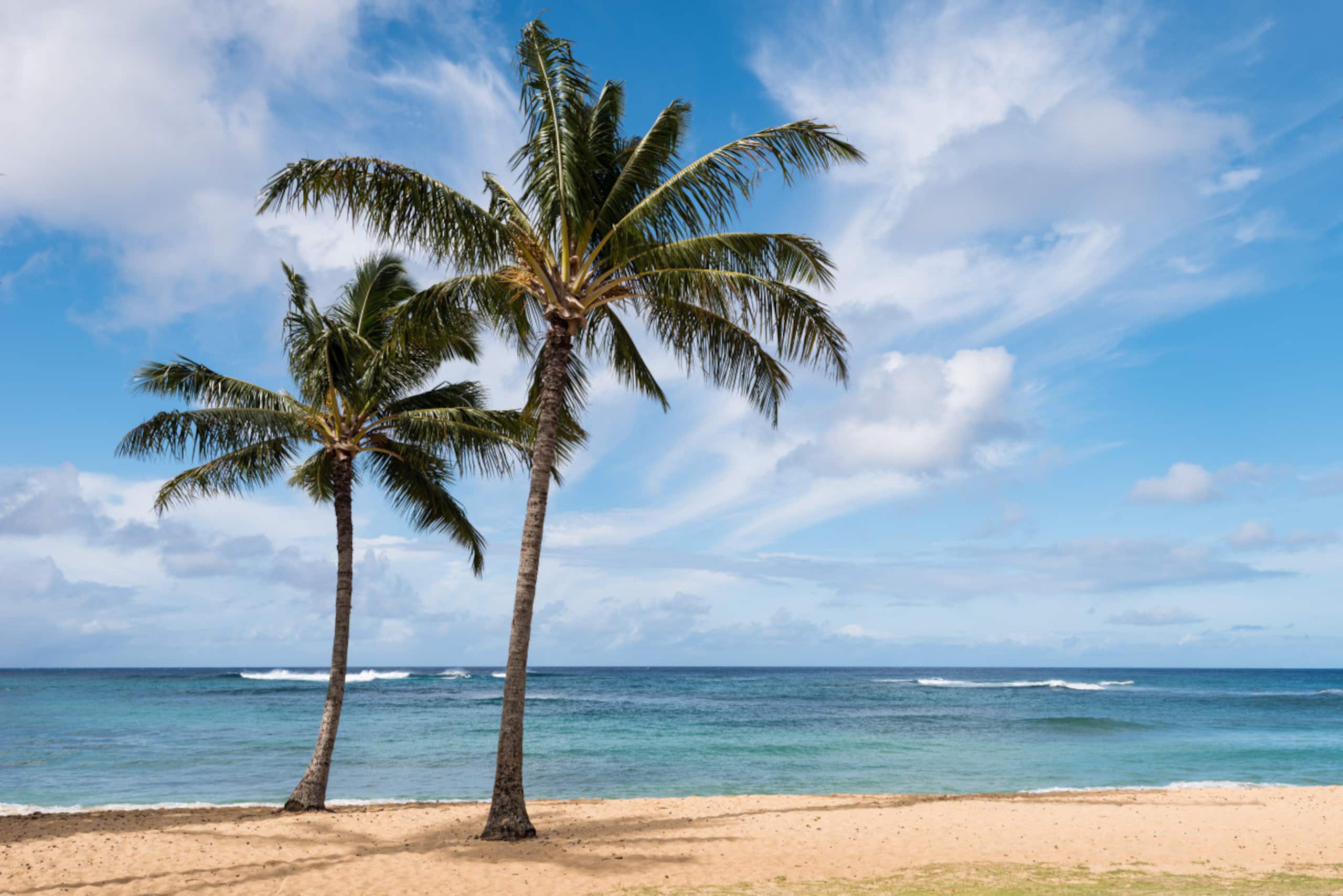 Home in Kahuku · ★4.8 · 2 bedrooms · 4 beds · 2 private baths - Image 49