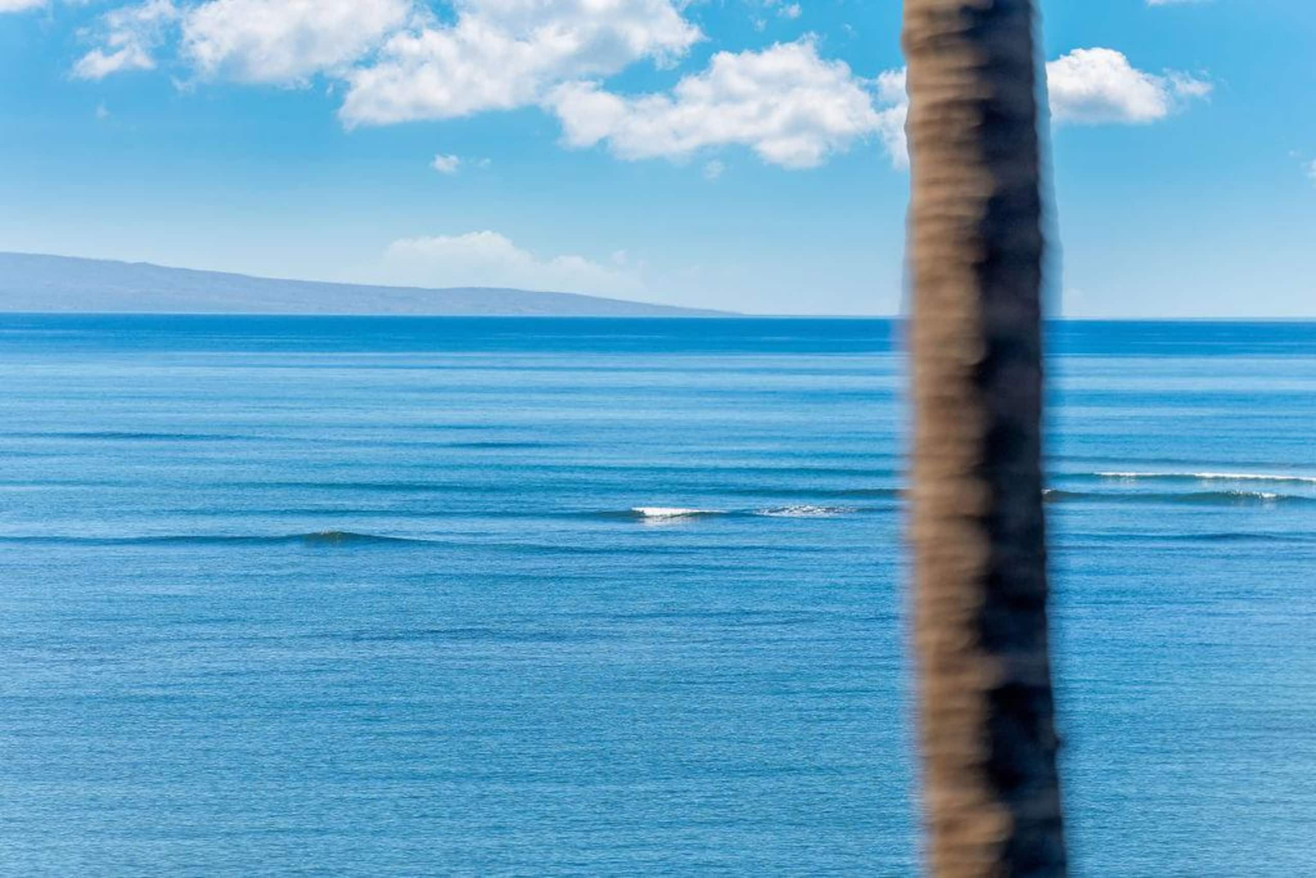 Condo in Kihei · ★4.87 · 3 bedrooms · 4 beds · 2 private baths - Image 23