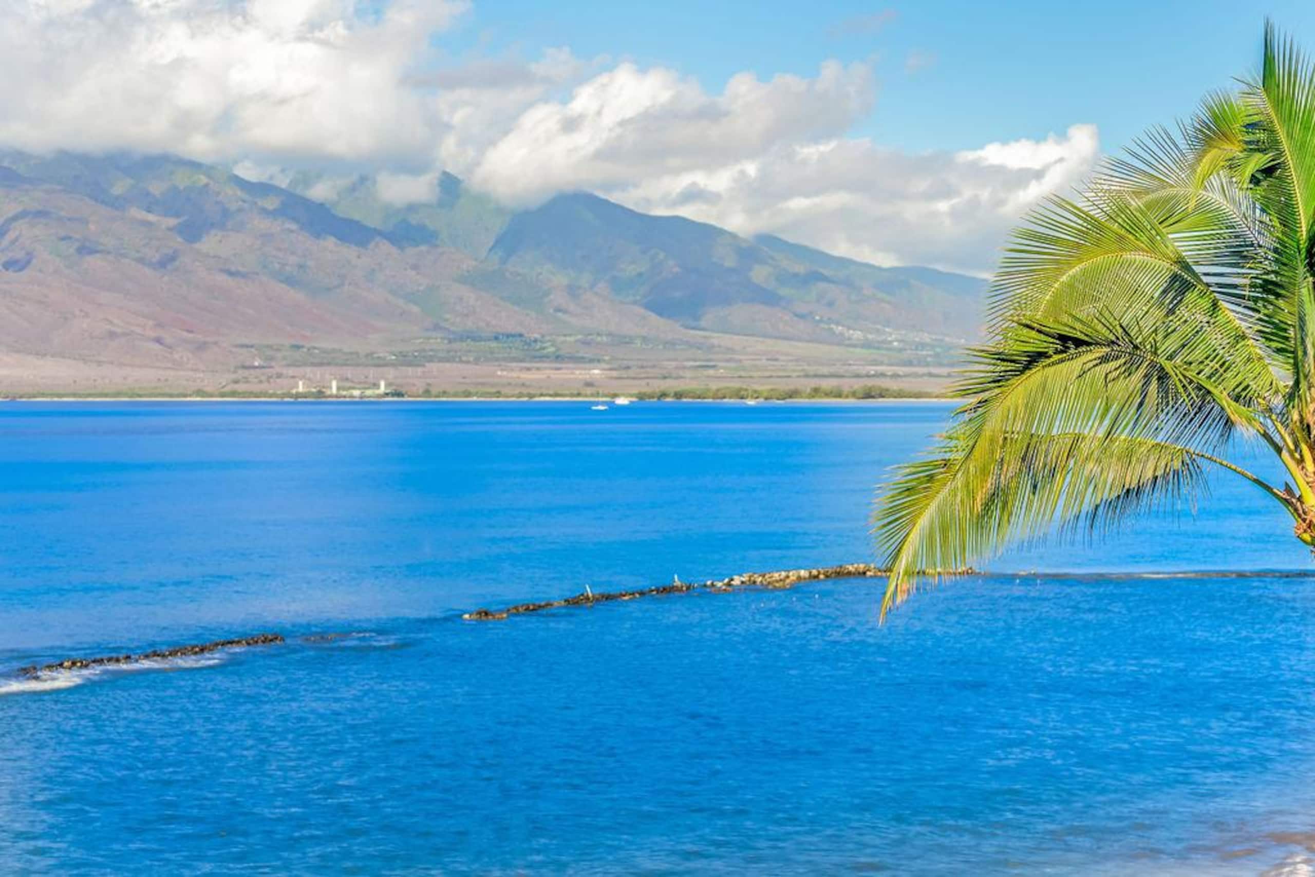Condo in Kihei · ★4.87 · 3 bedrooms · 4 beds · 2 private baths - Image 57