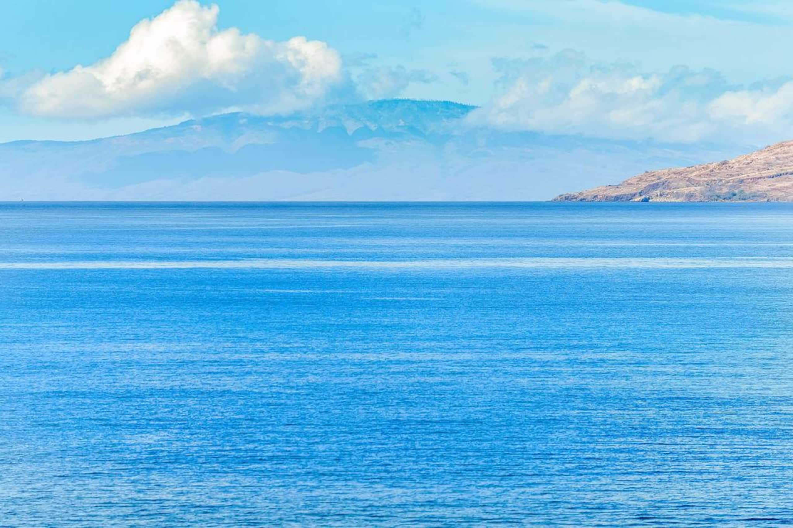 Condo in Kihei · ★4.87 · 3 bedrooms · 4 beds · 2 private baths - Image 58
