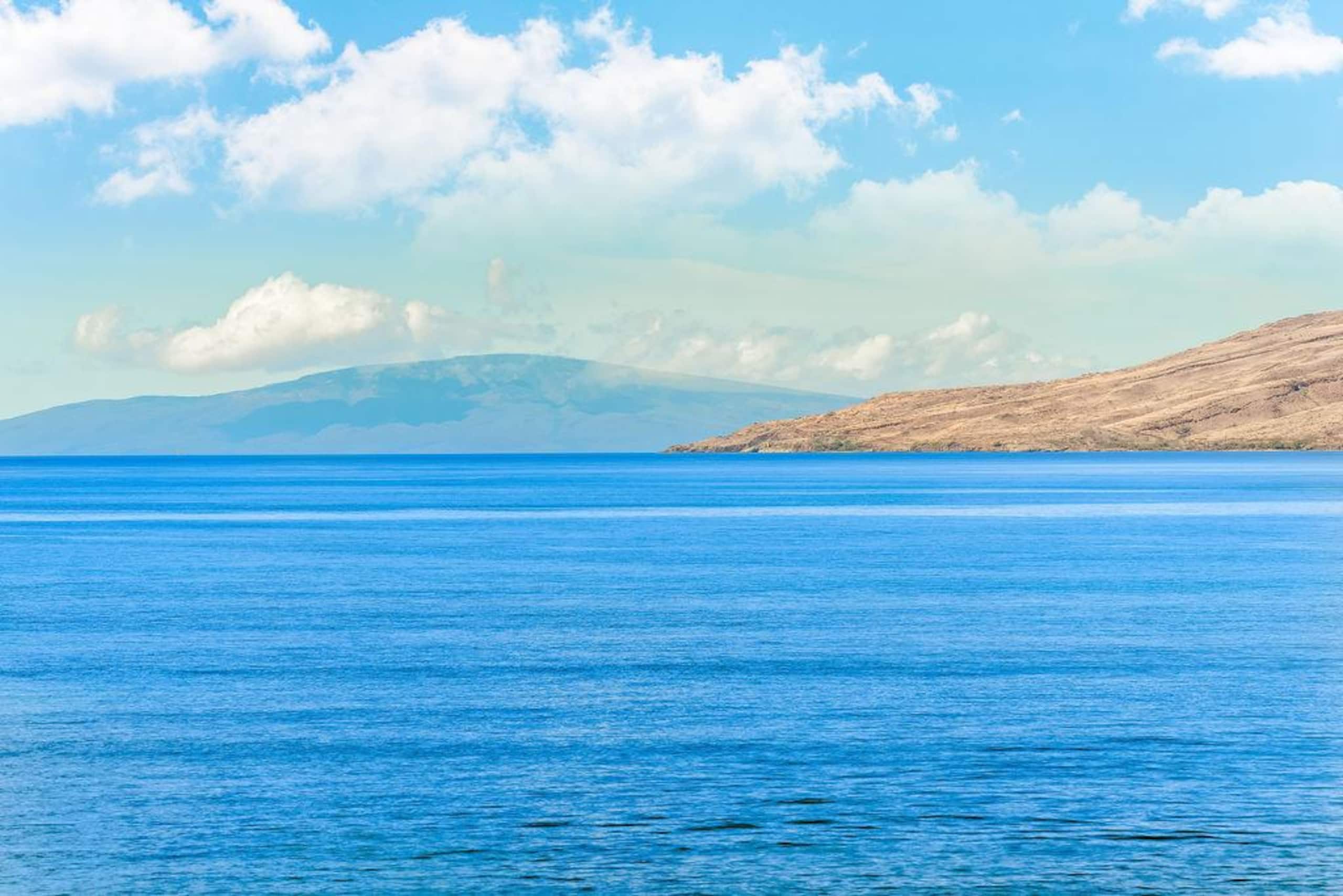 Condo in Kihei · ★4.87 · 3 bedrooms · 4 beds · 2 private baths - Image 54