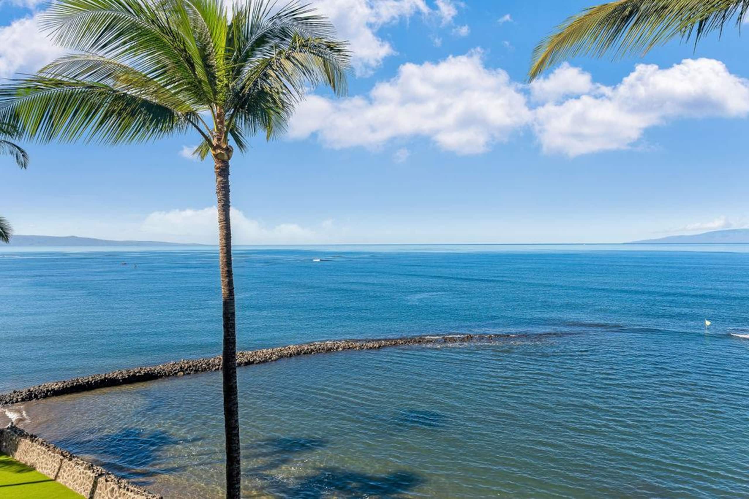 Condo in Kihei · ★4.87 · 3 bedrooms · 4 beds · 2 private baths - Image 19