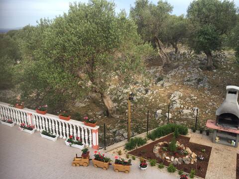 A-11781-a Two bedroom apartment with terrace and
